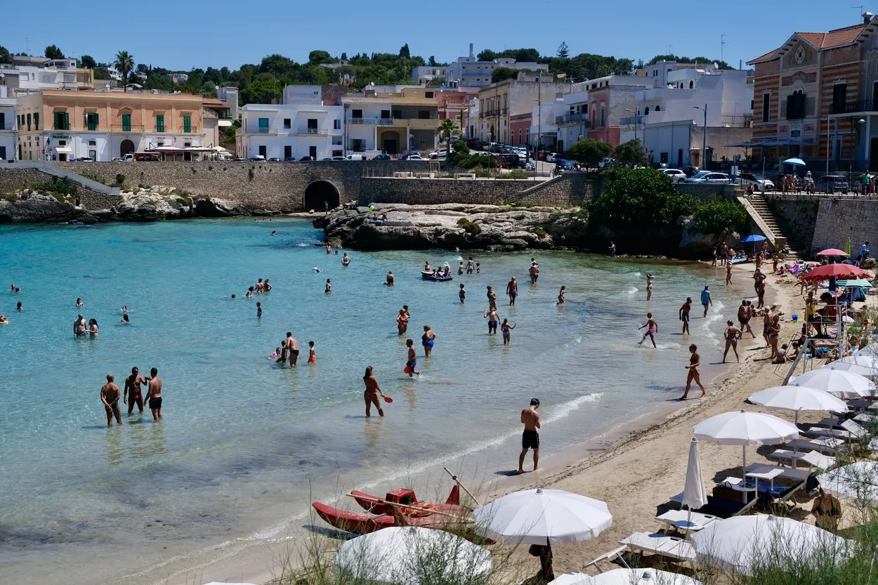 Entry 21300061