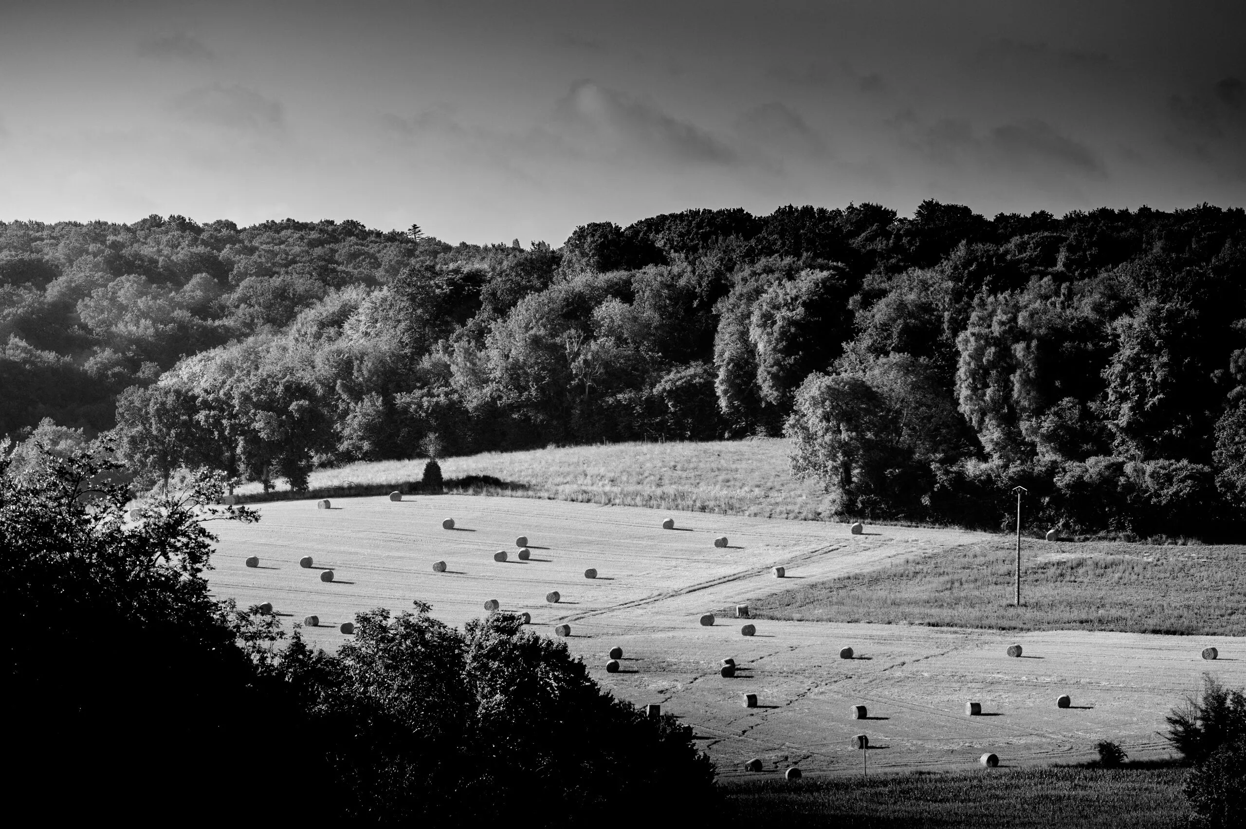 Un matin Normand