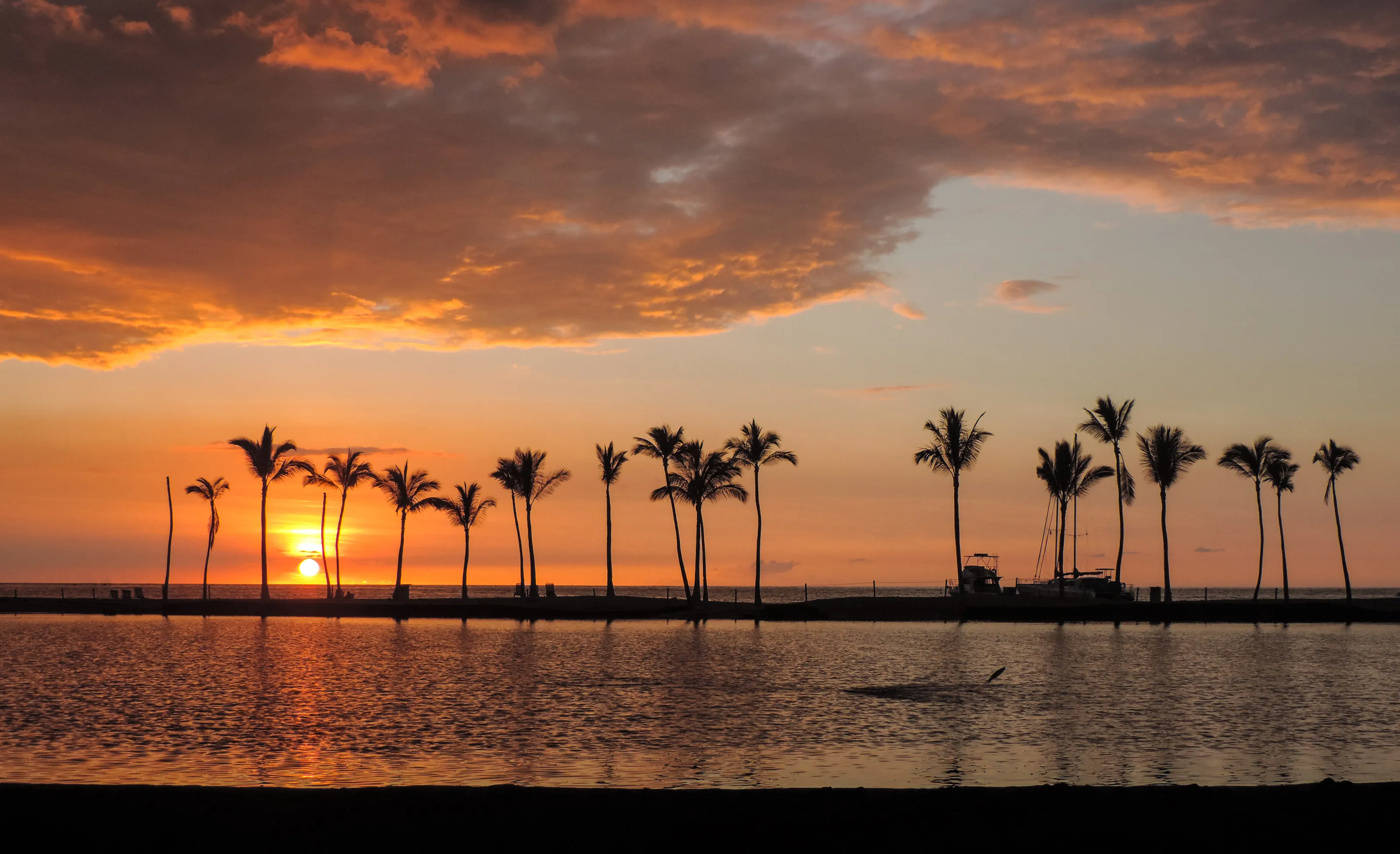 Hawaiian Sunset with Jumping Fish
