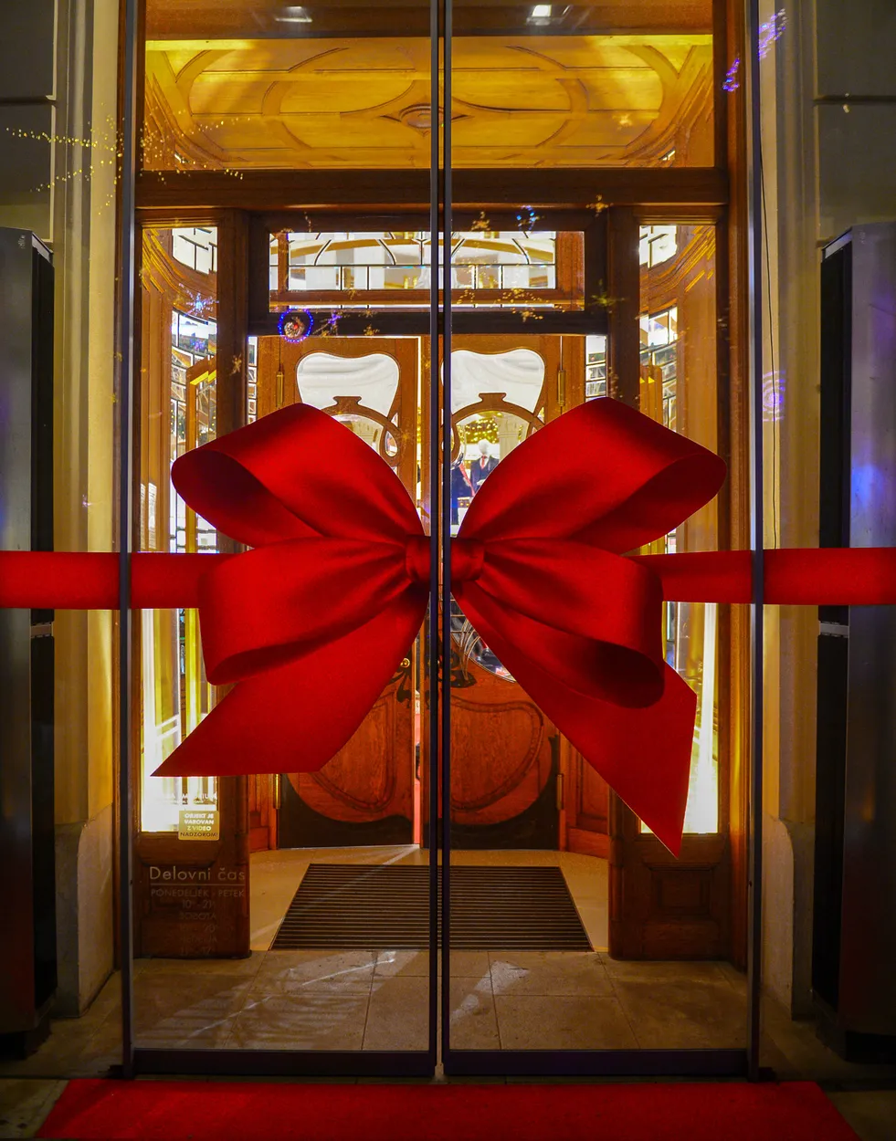 Entry 21309913