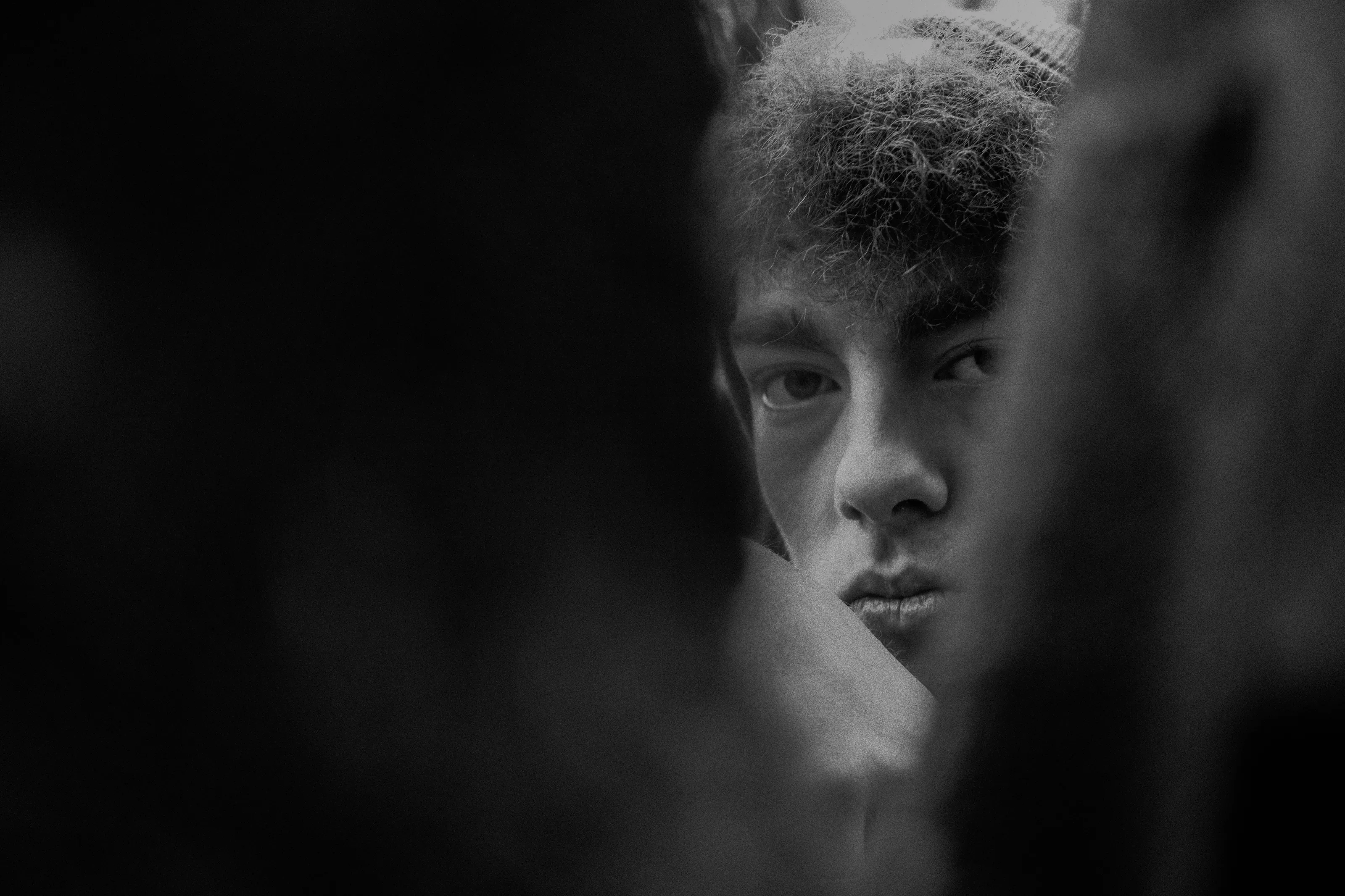 Peering through the tree
