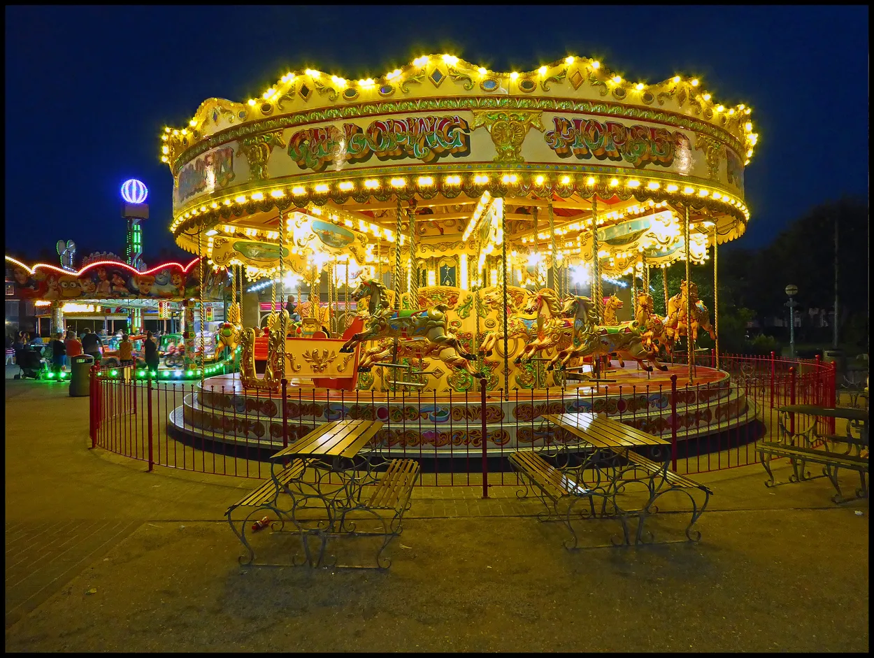 Entry 21310812