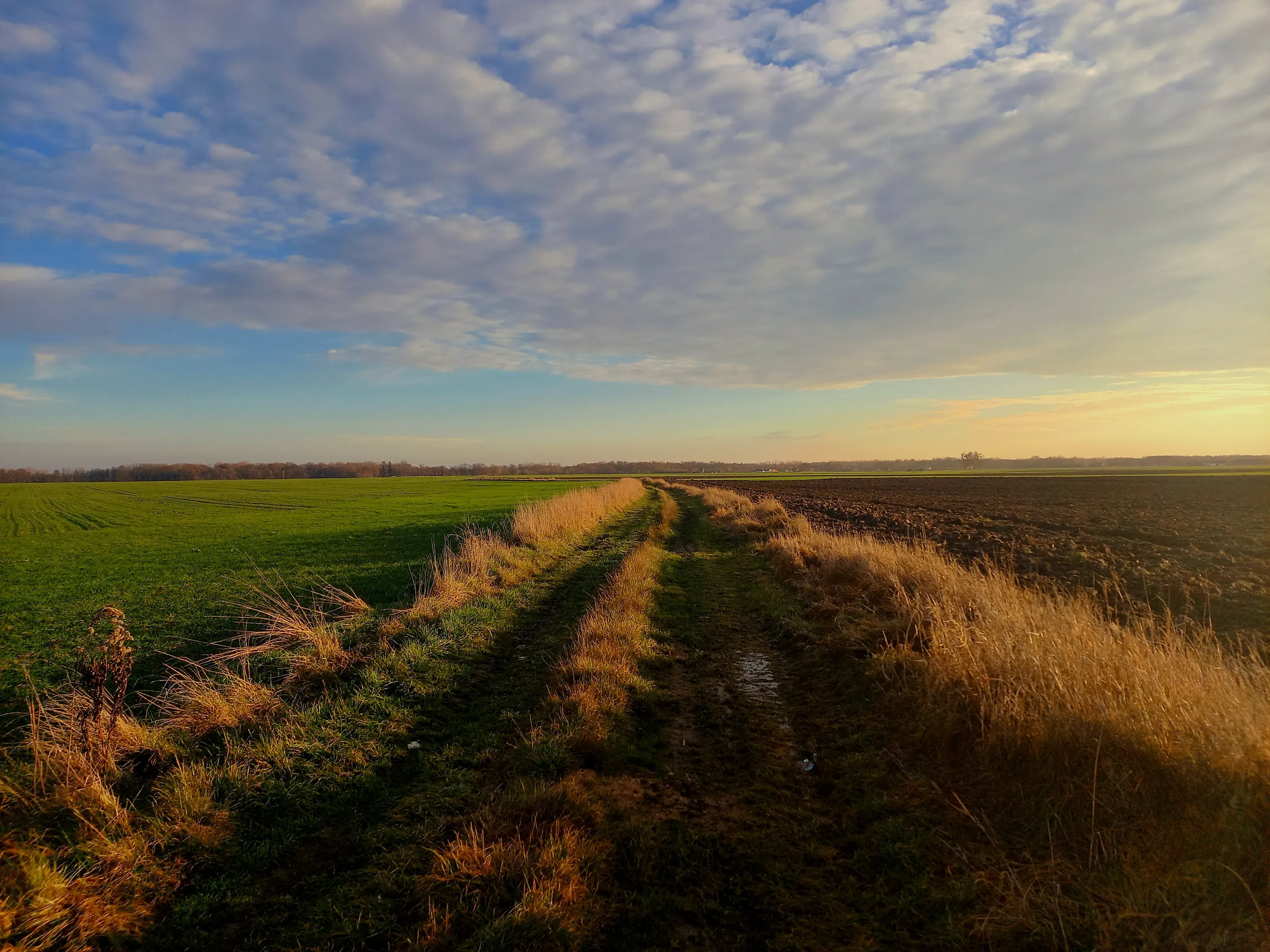 One road, two paths