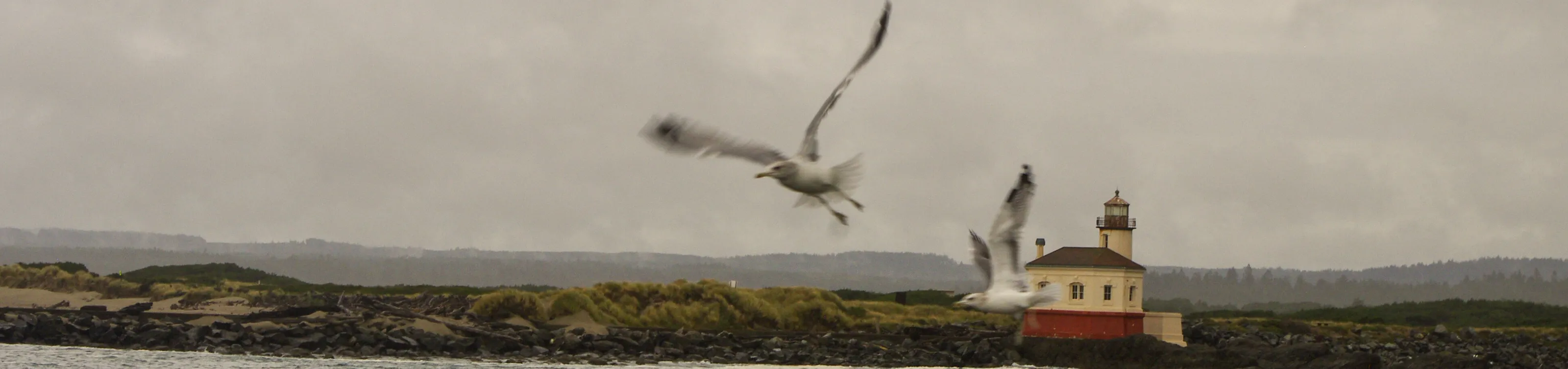 flight