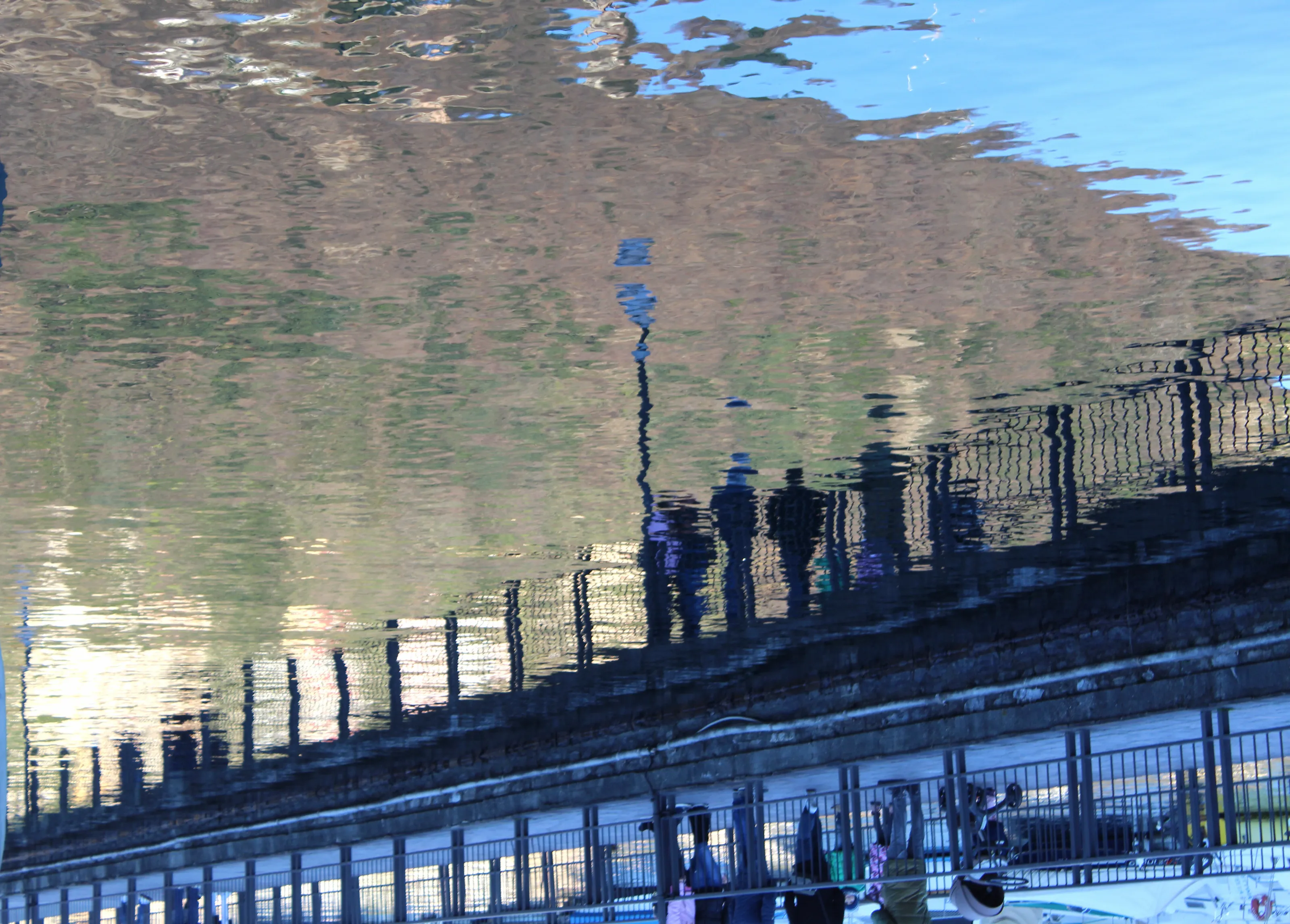 Reflection