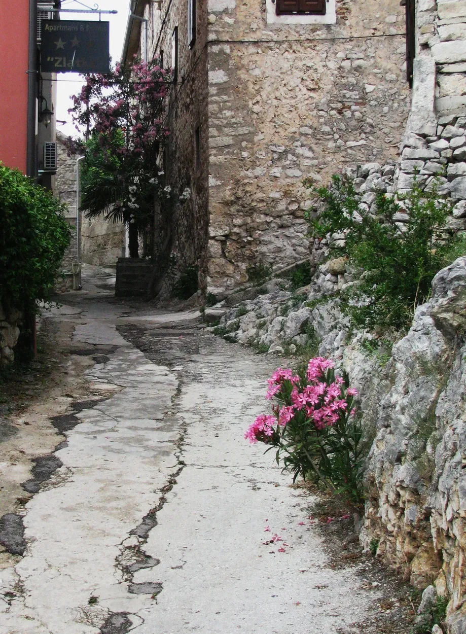 Entry 21343323