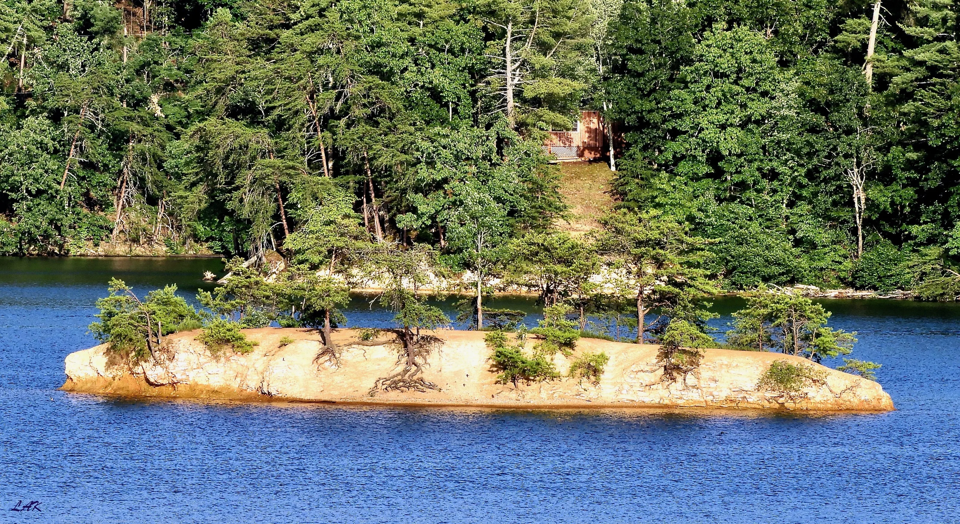 Island Life