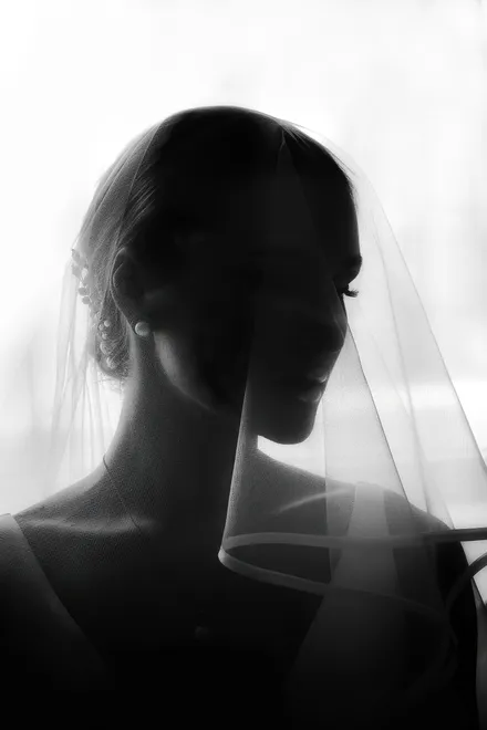 Untitled image