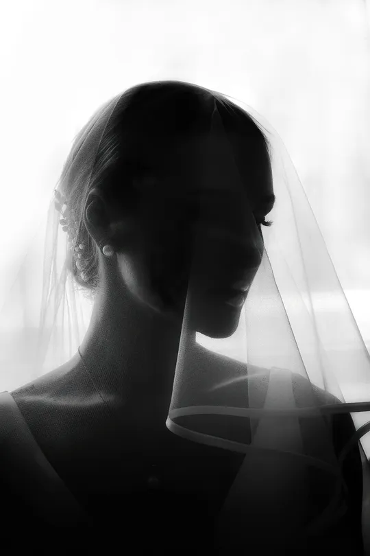 Untitled image