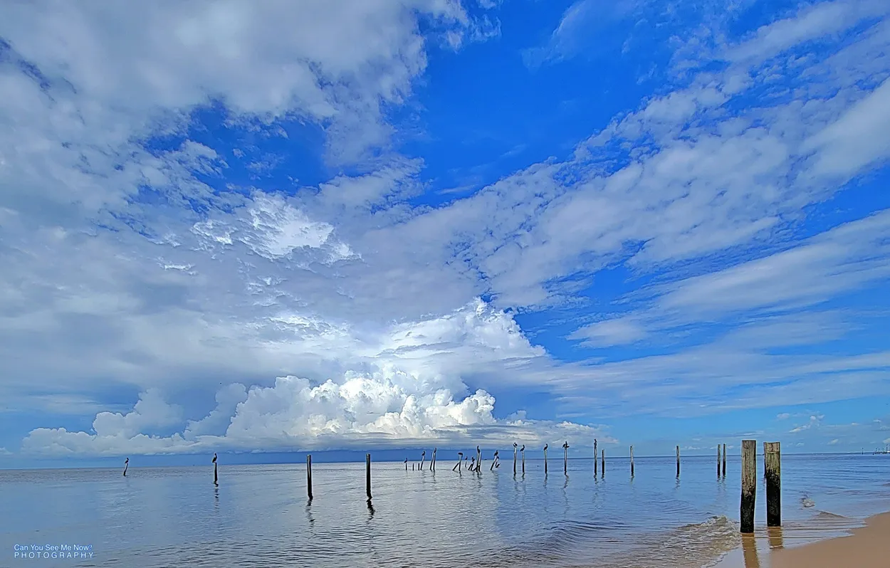 Entry 21357040
