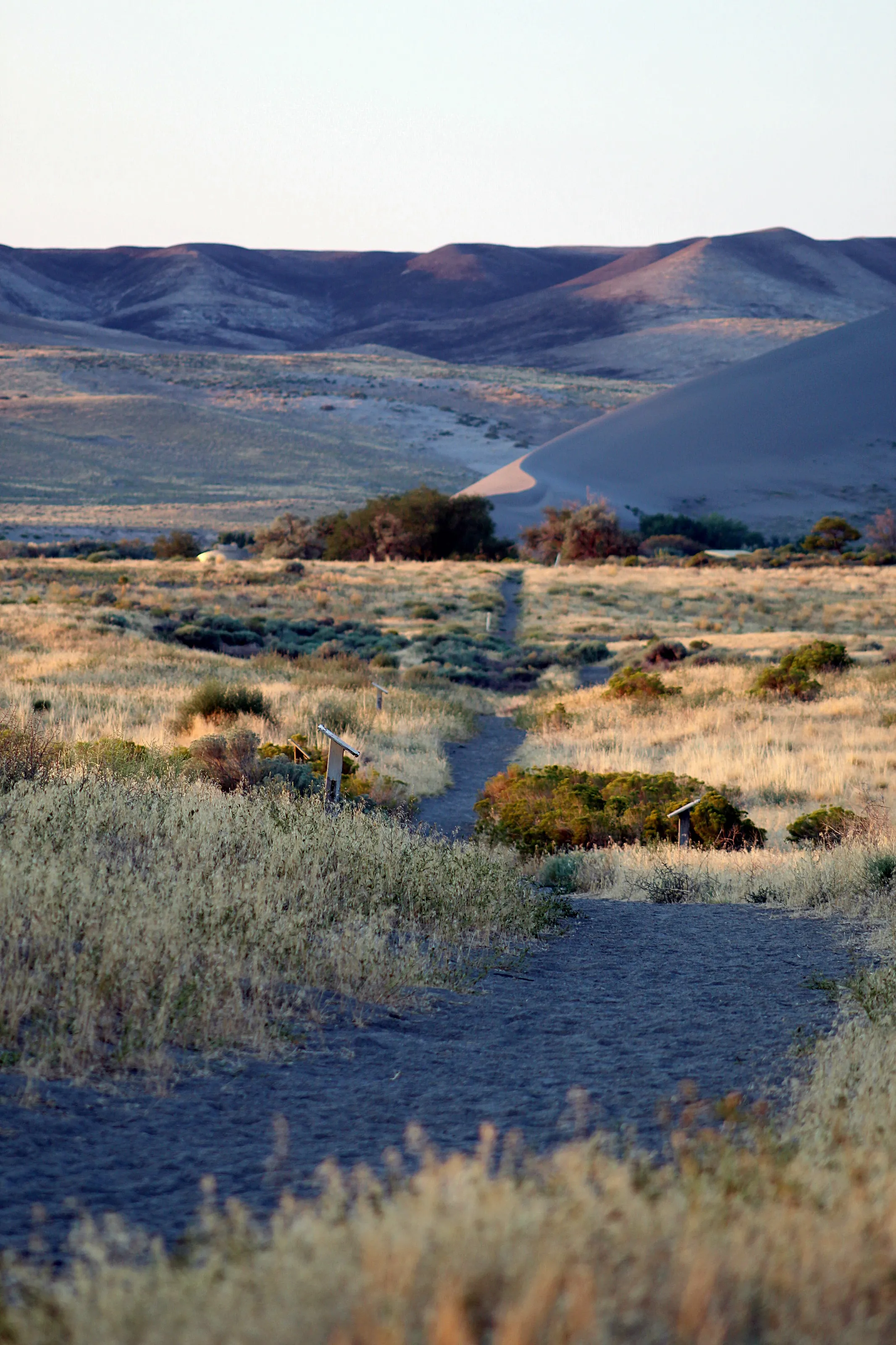 Bruneau Dunes