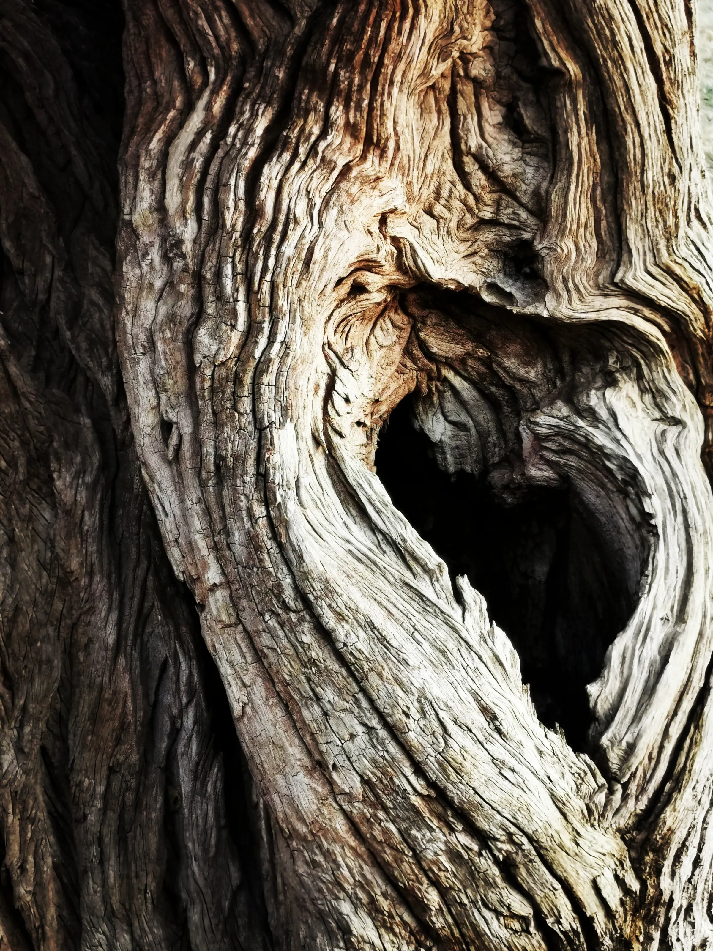 Love in nature