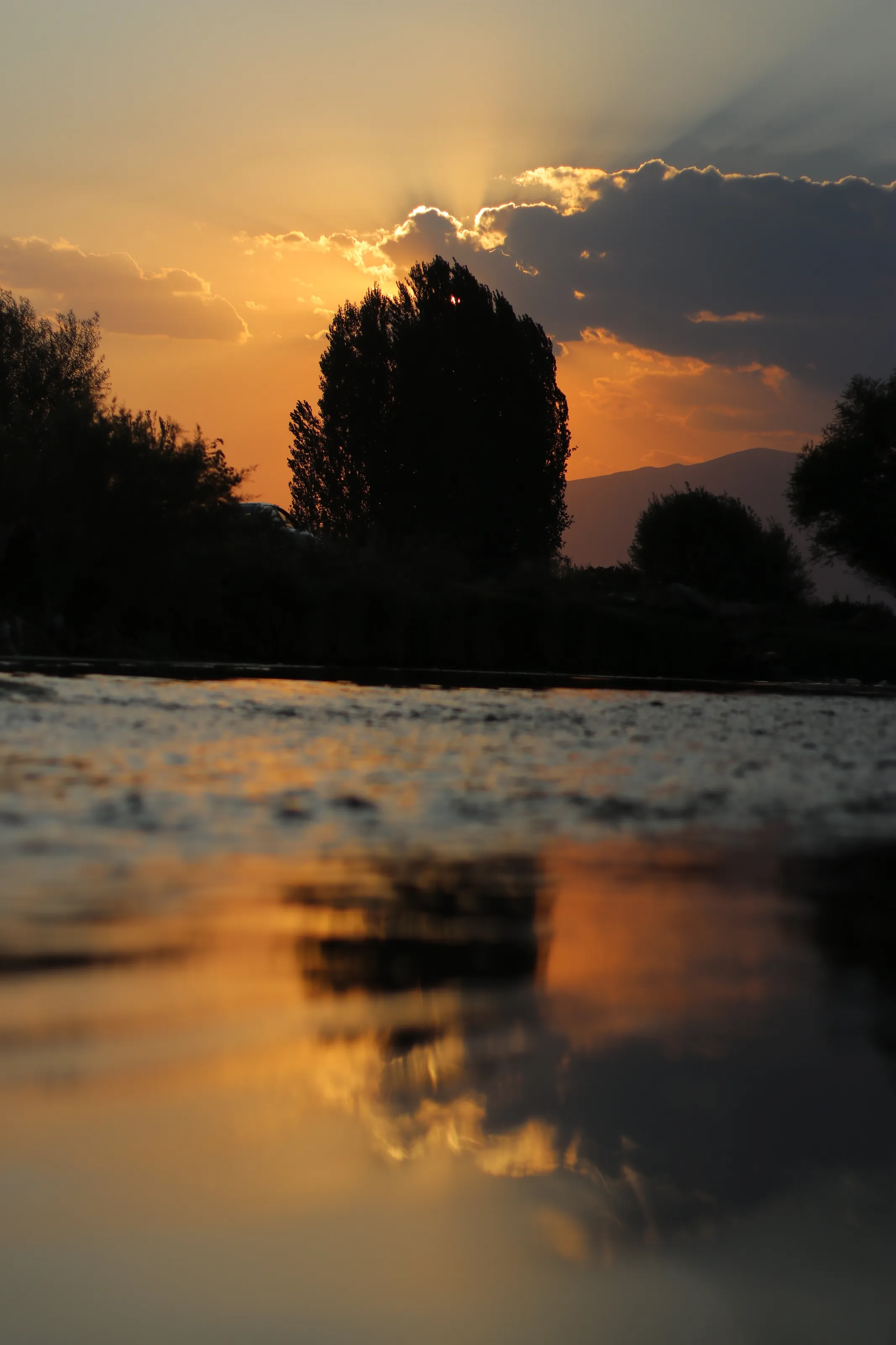 Kurd