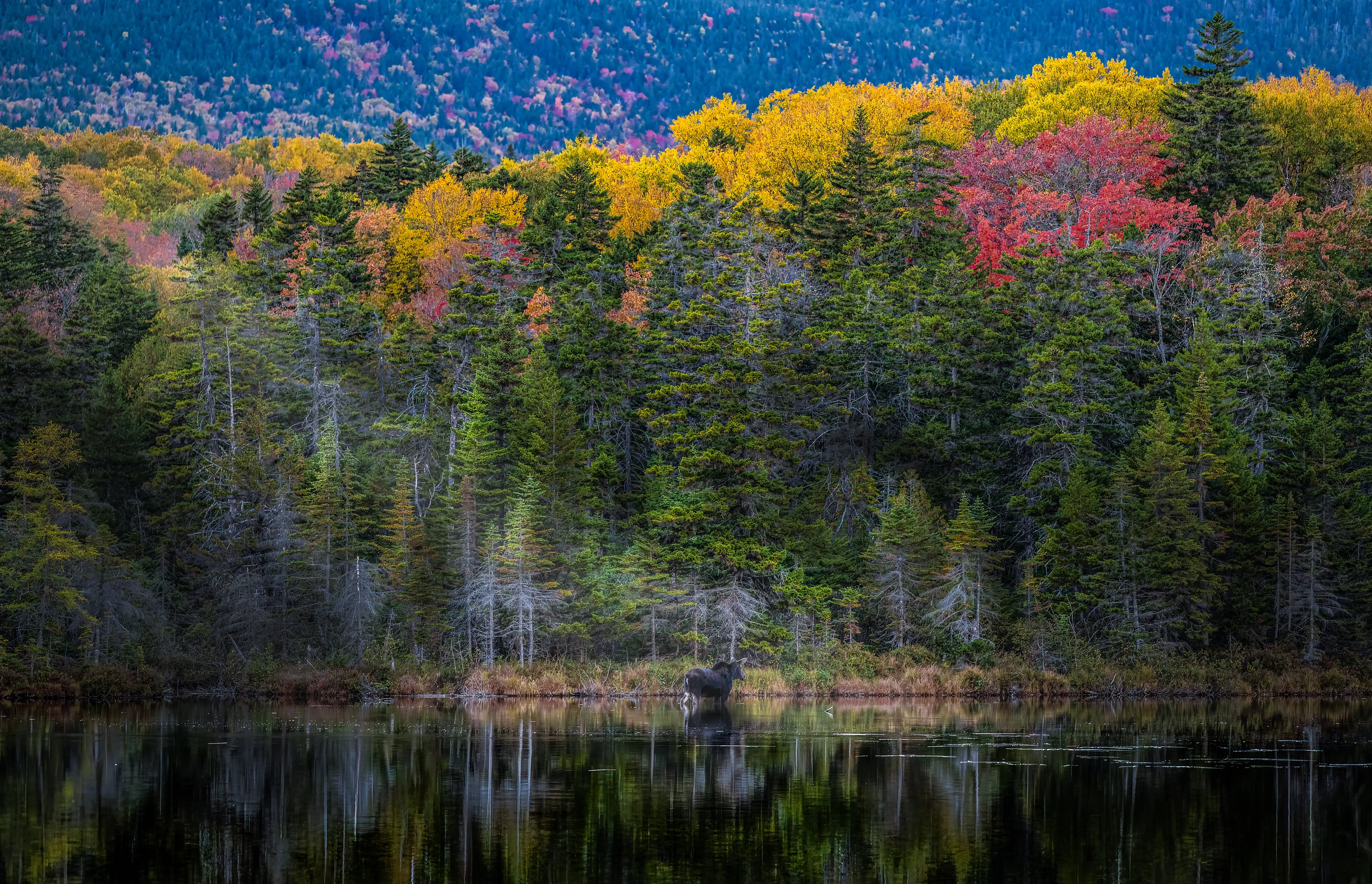 Autumn Lake