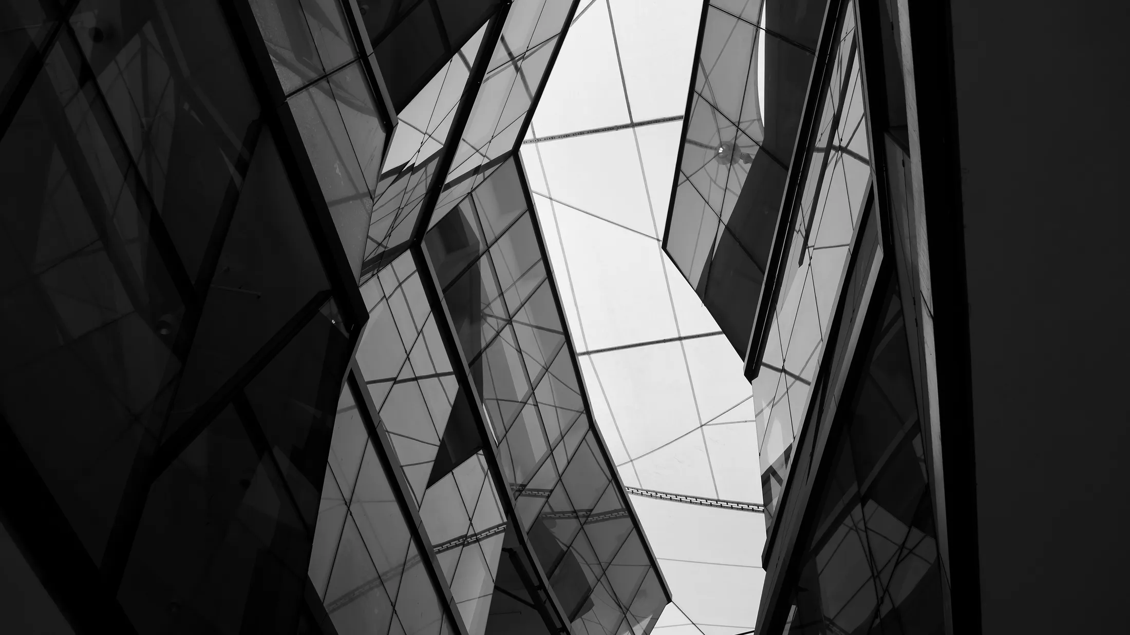 Entry 21389204