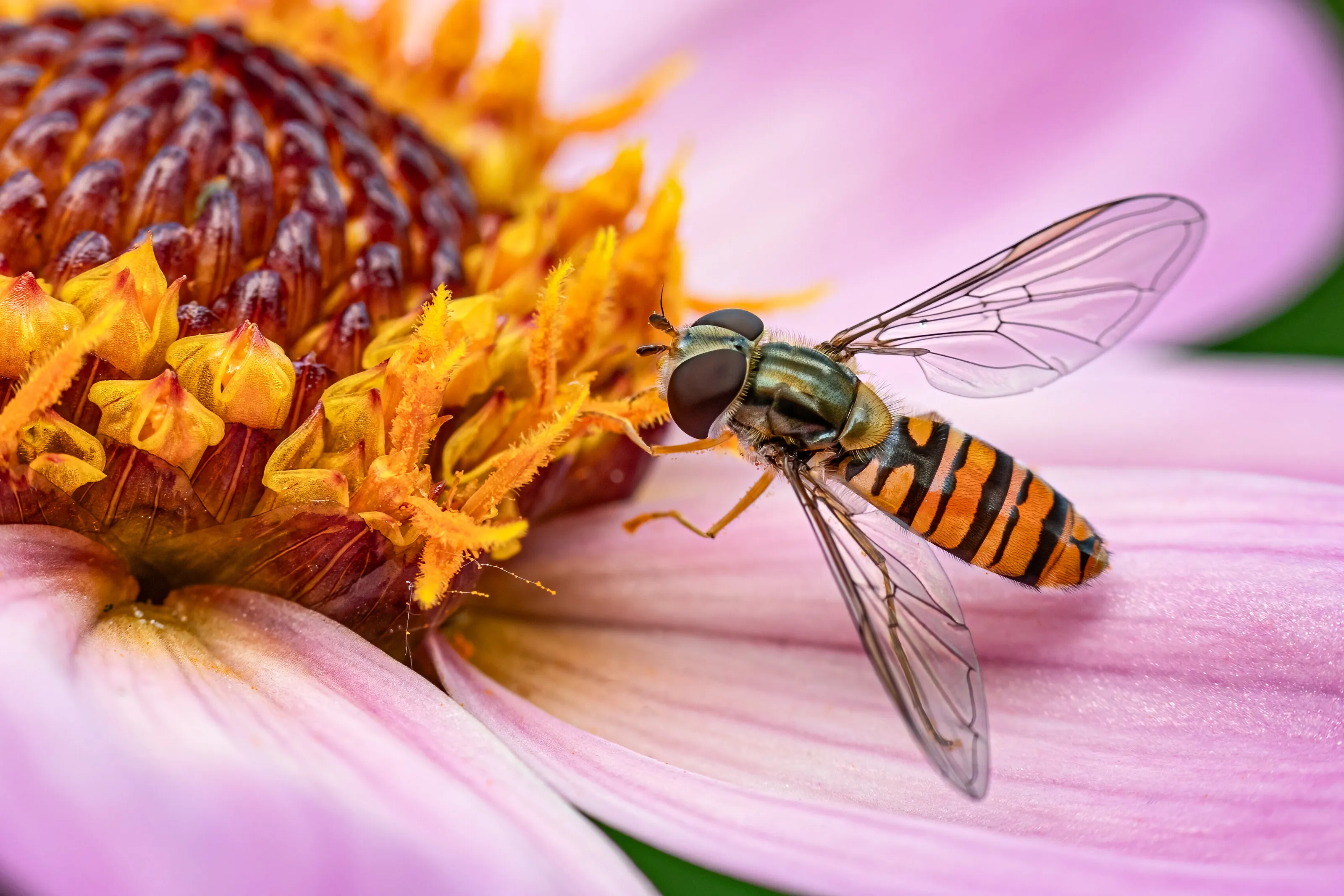Flower tasting