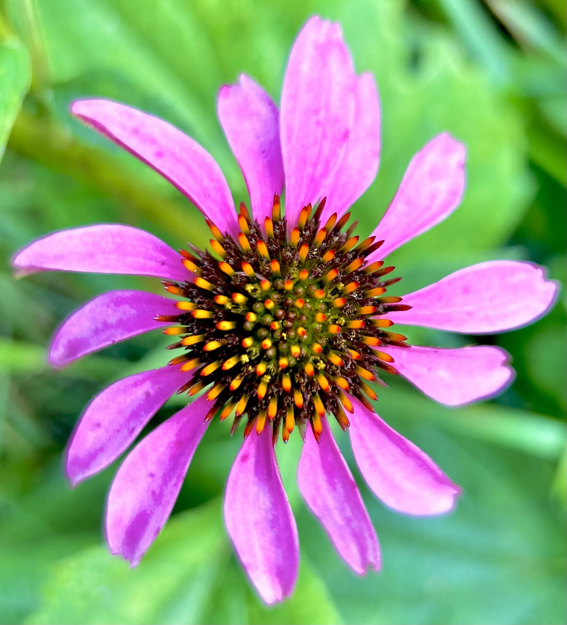raw nature