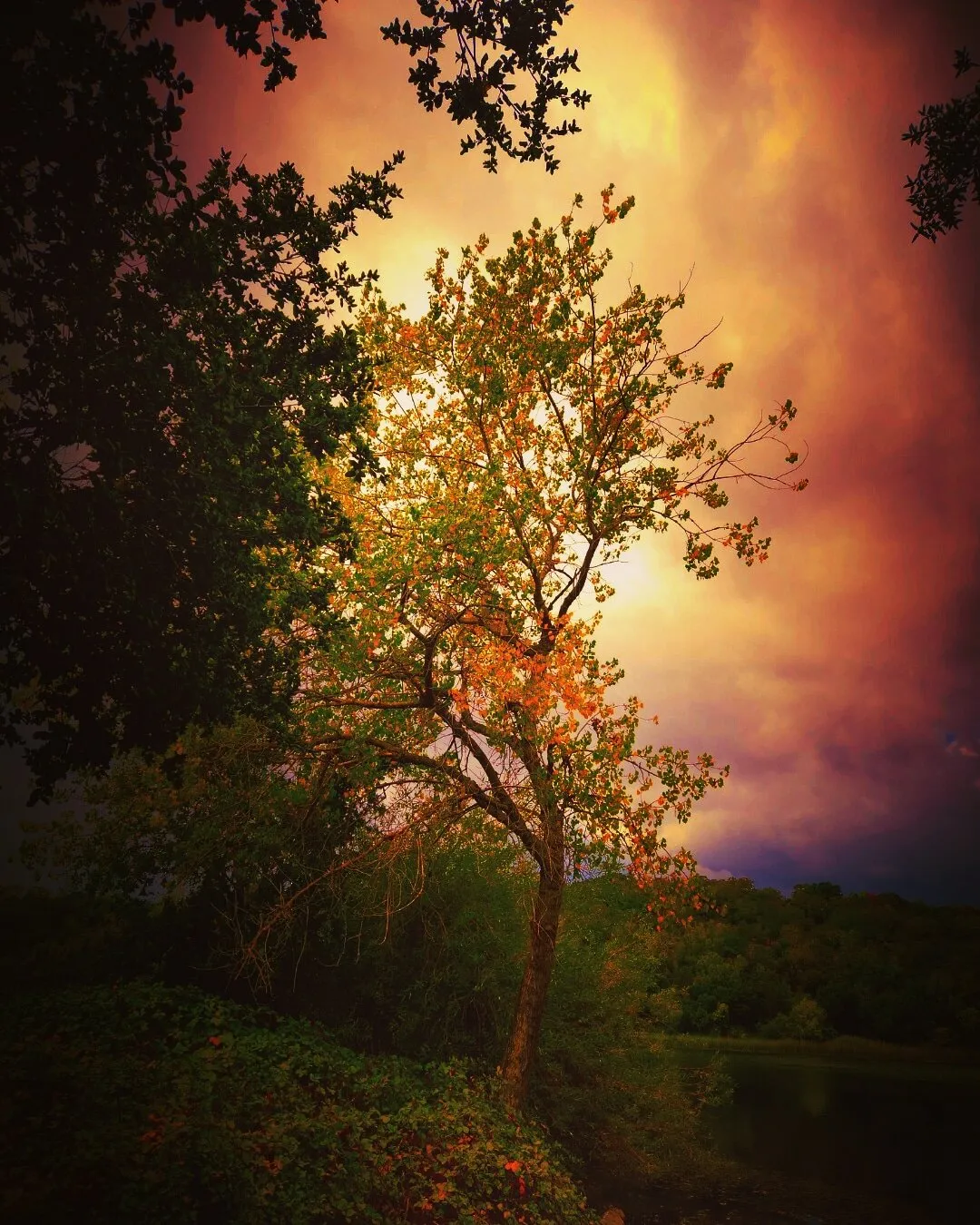 Impending Storm