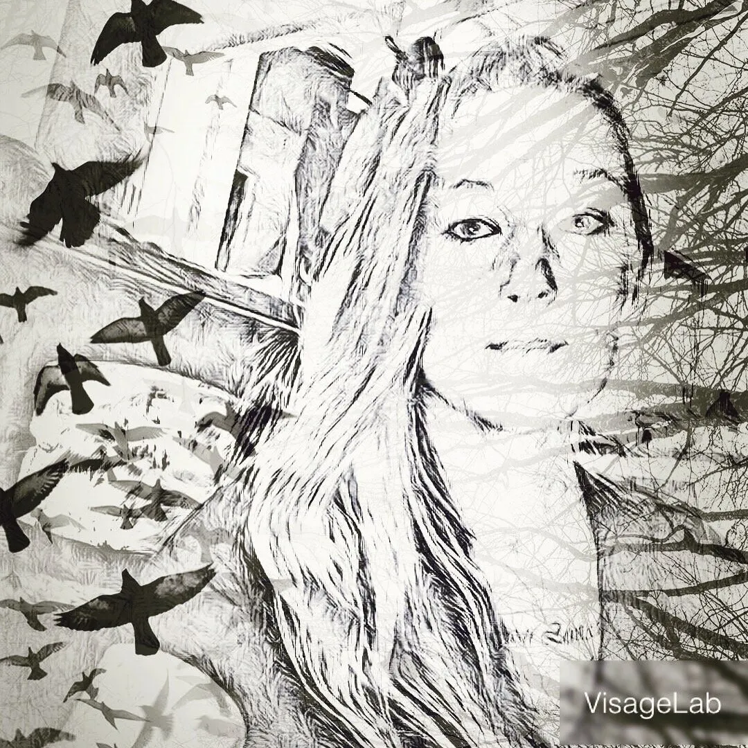 Fly Fast, Fly Free