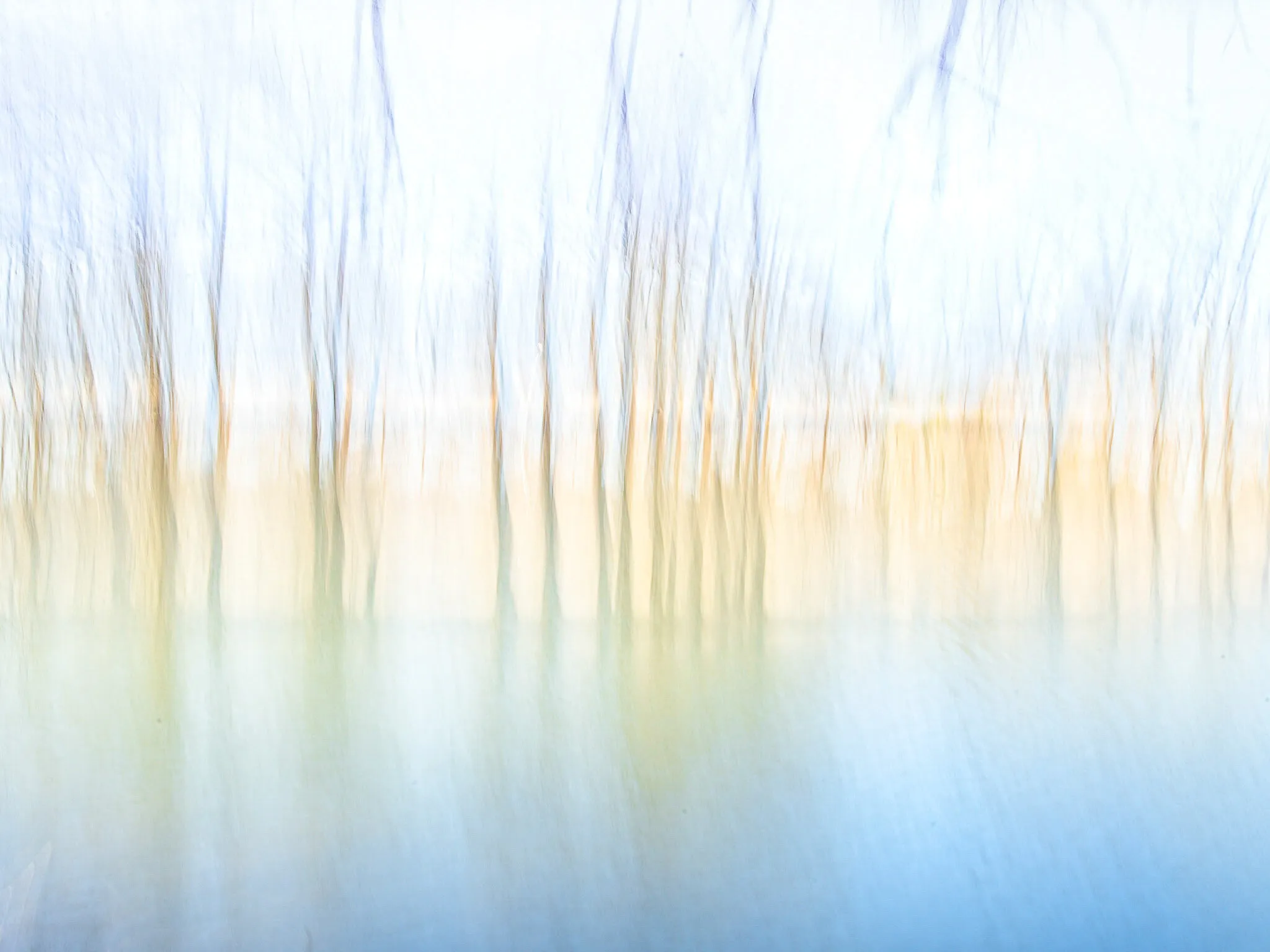 Shaws Arboretum