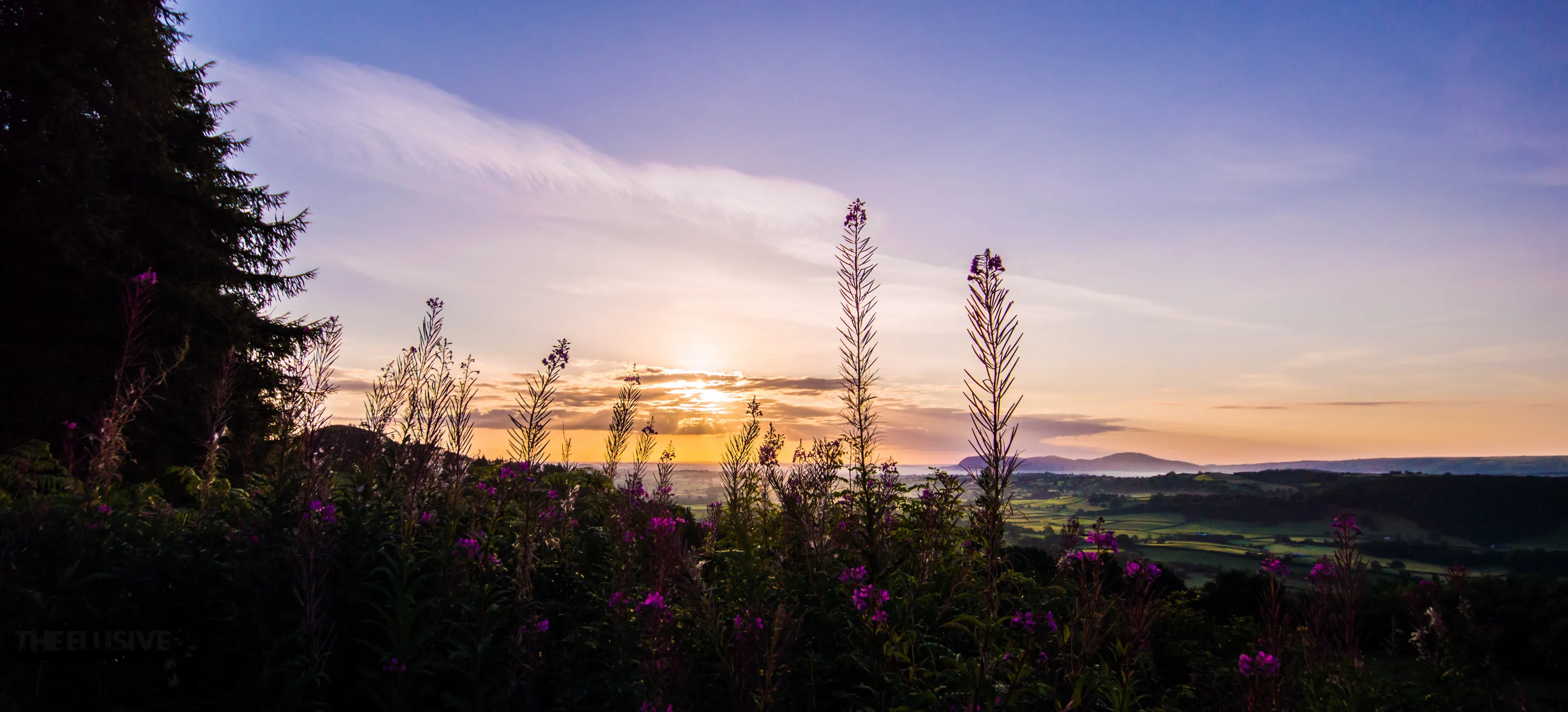 Welsh Morning