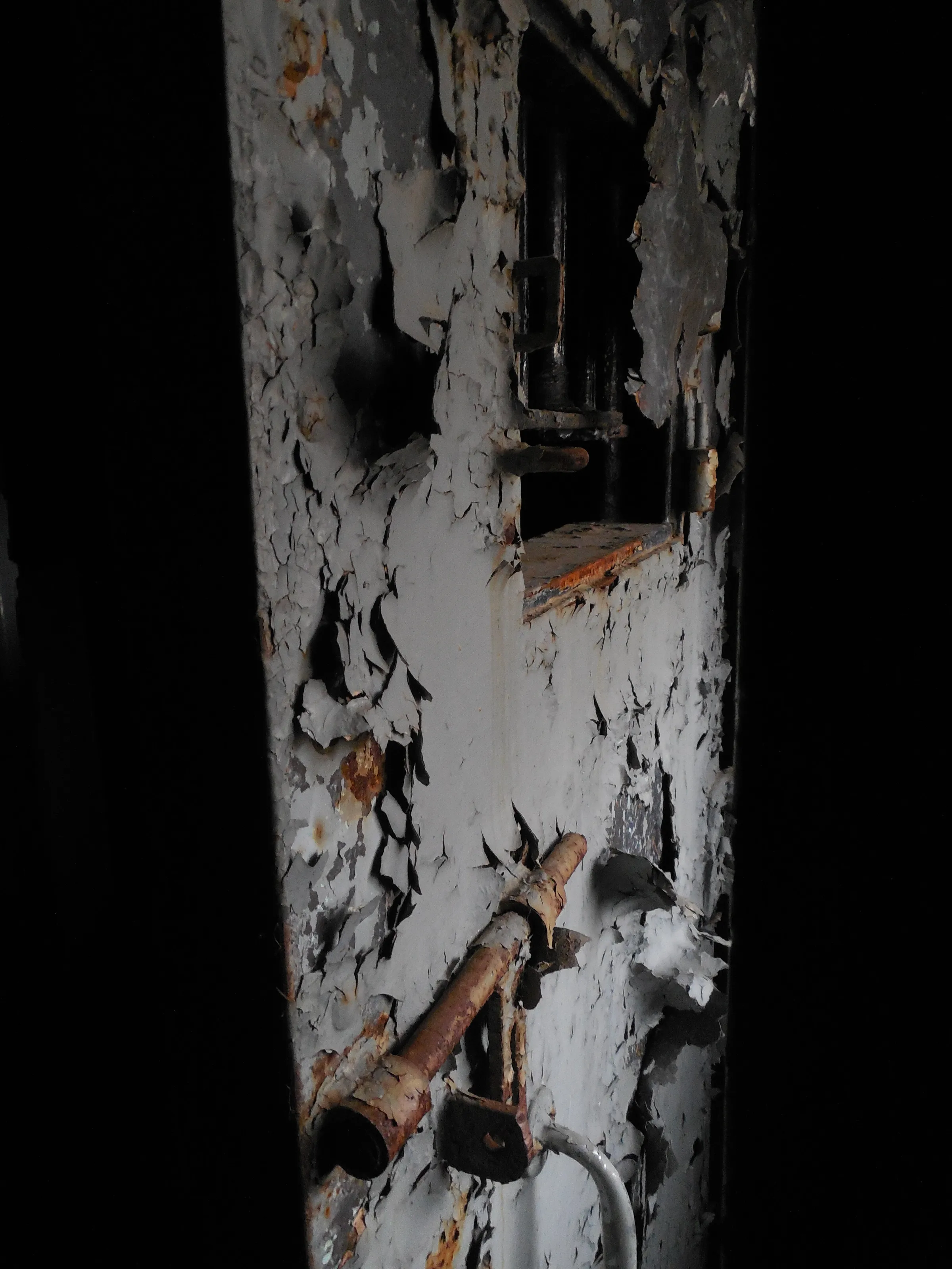 The Cell Door