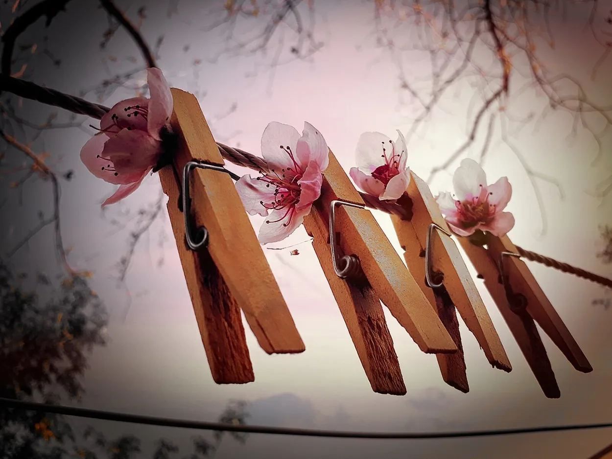 Entry 1094183