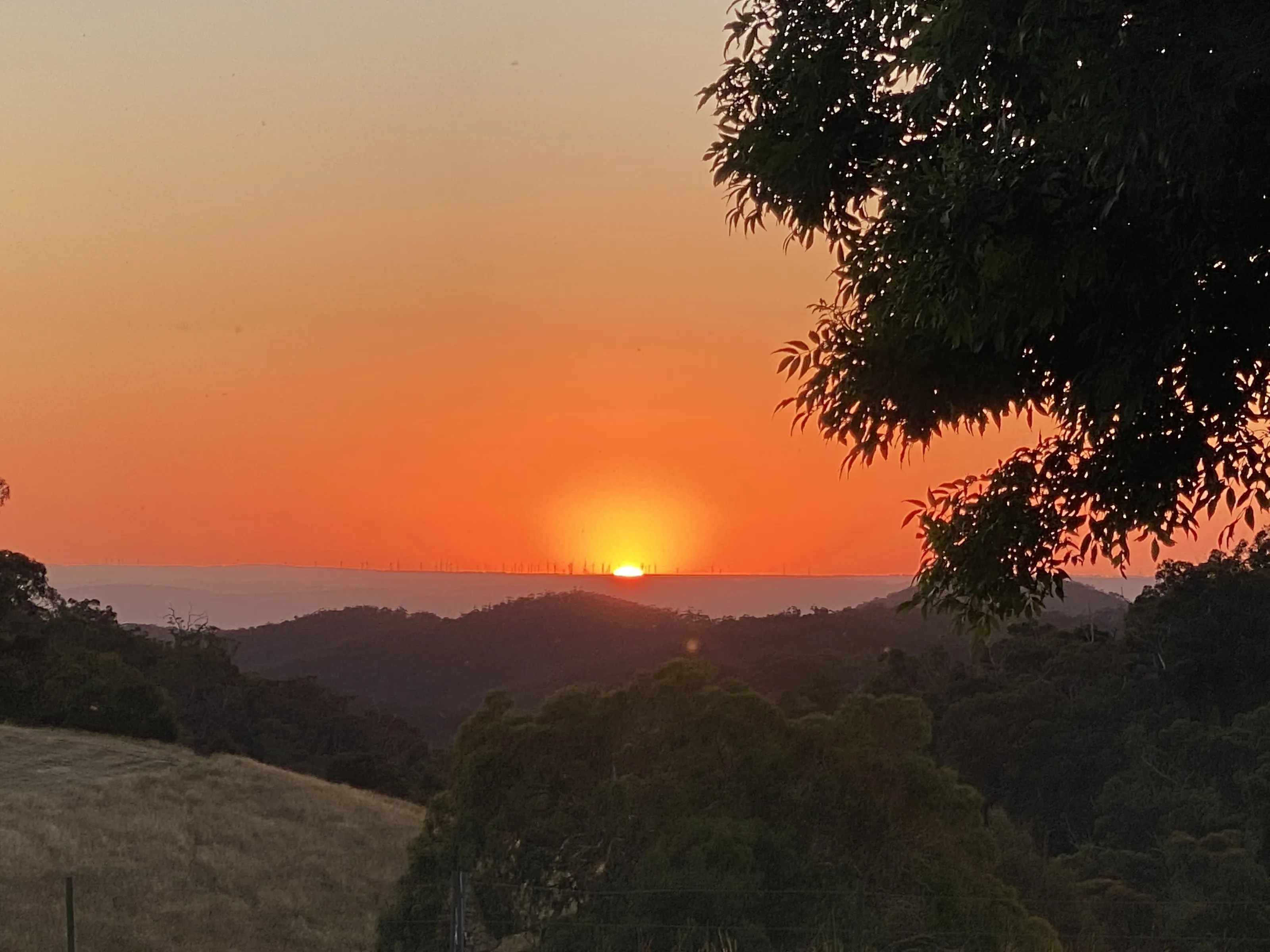 Orange Sunset