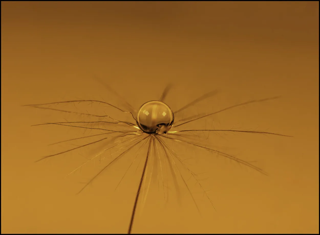 Single drop of water