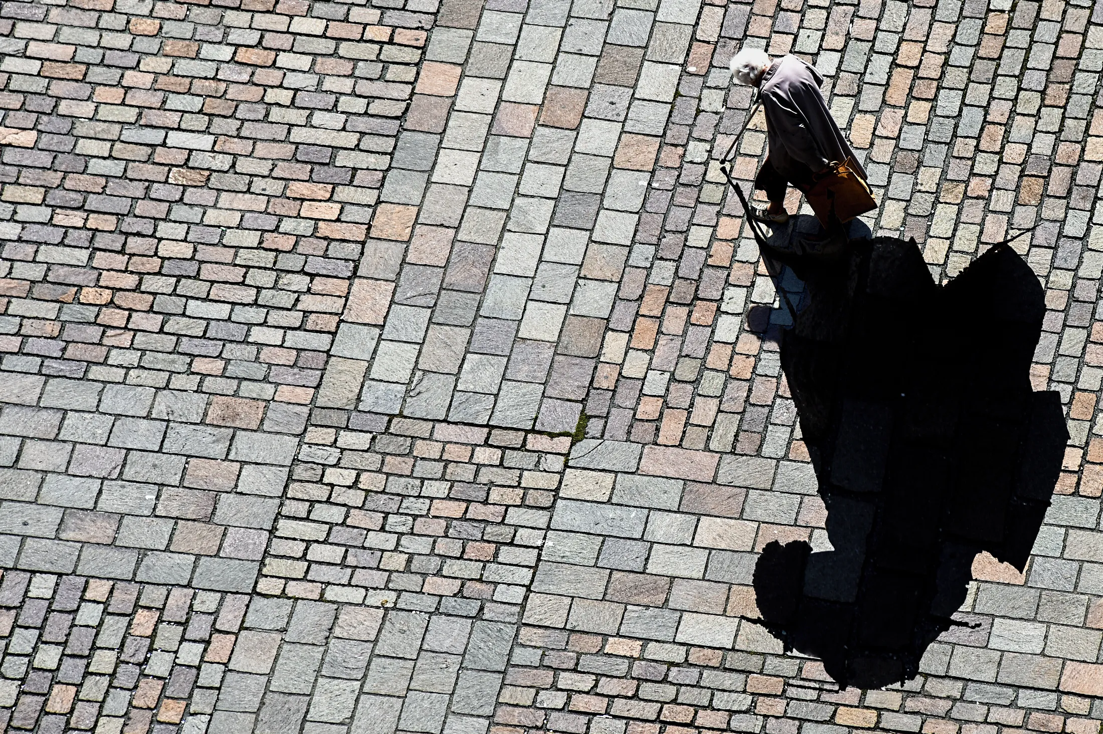 Lady With Shadow
