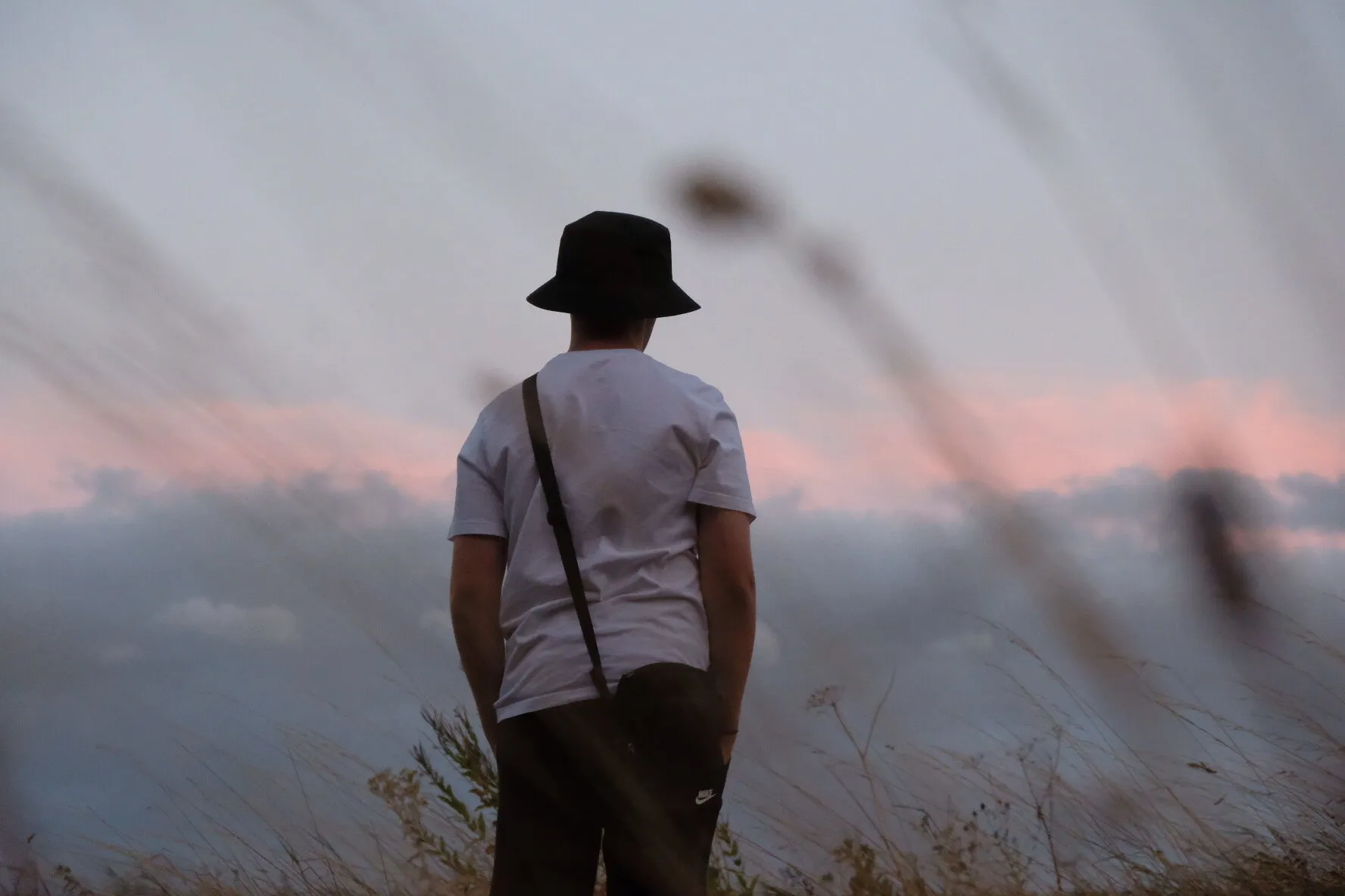 Banner image