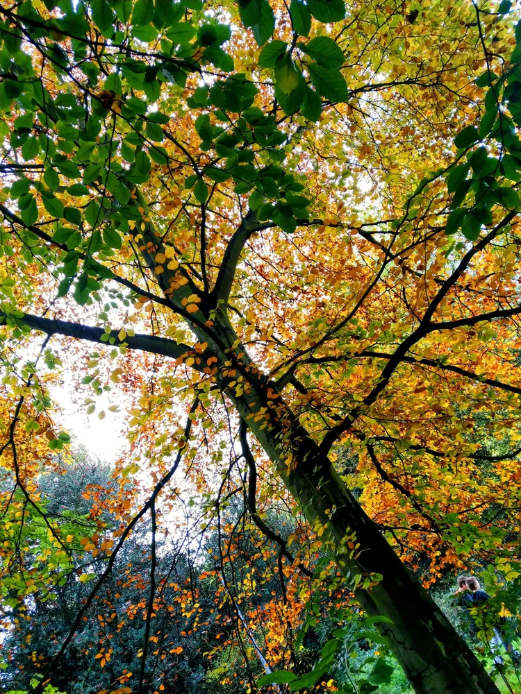 Beautiful nature