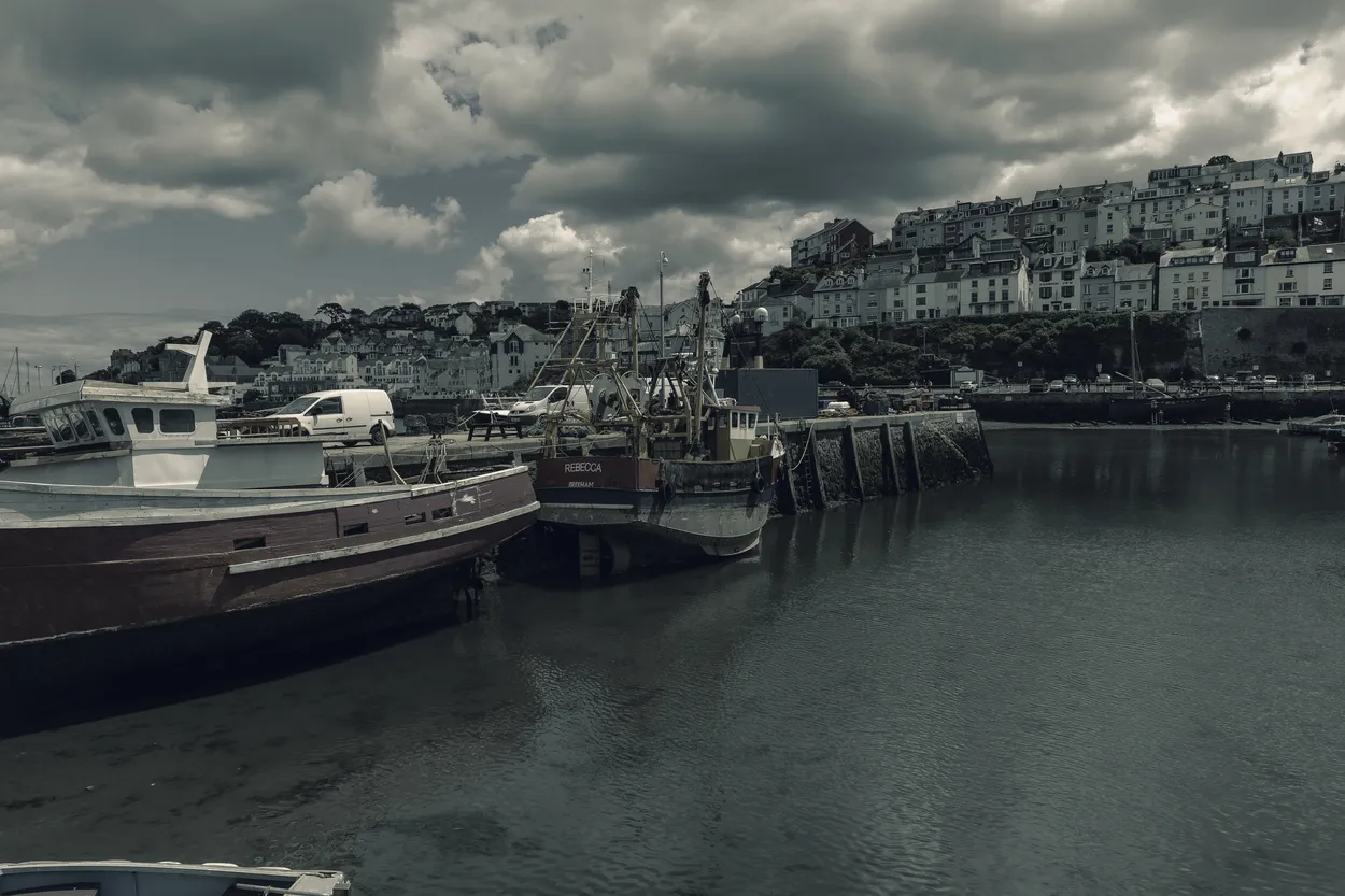 Two tone Harbour