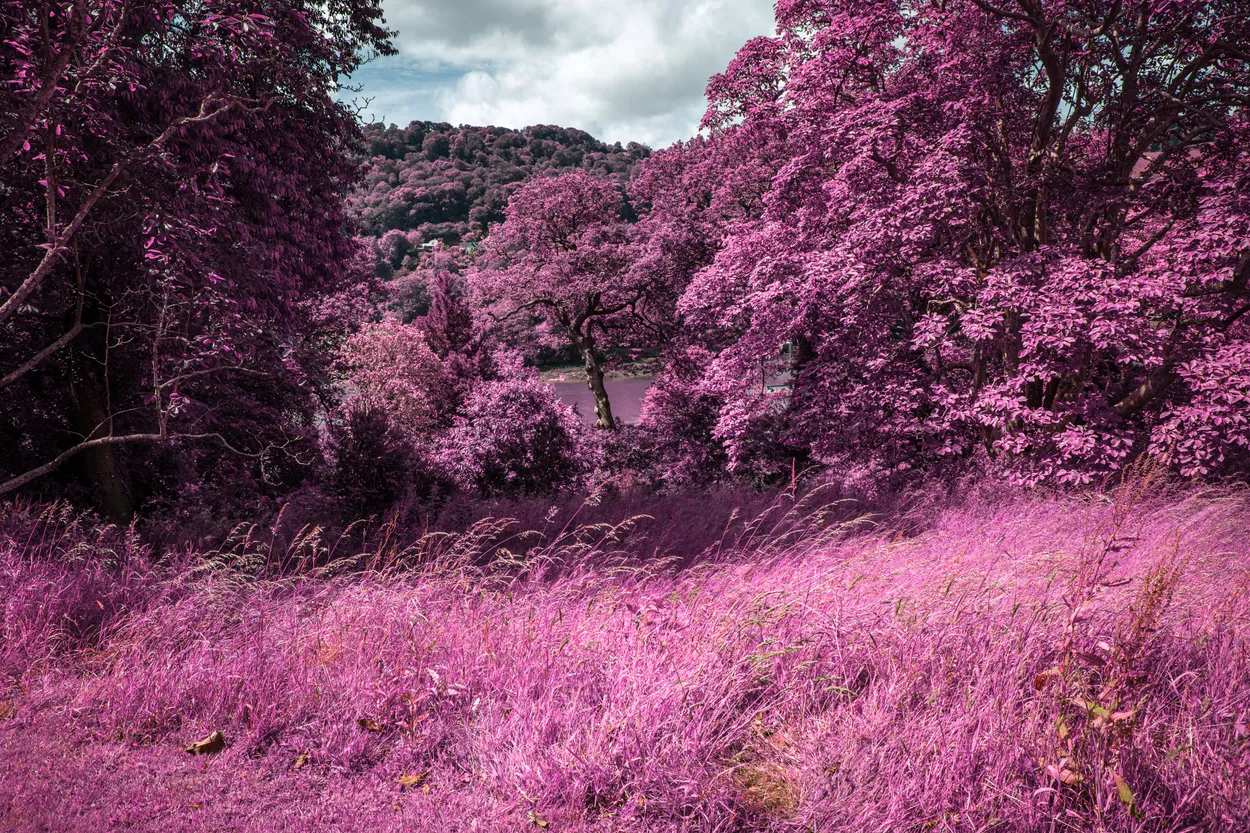 Greenways infrared colour's