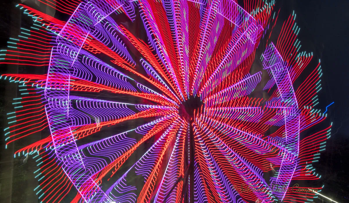 Carnival Lights