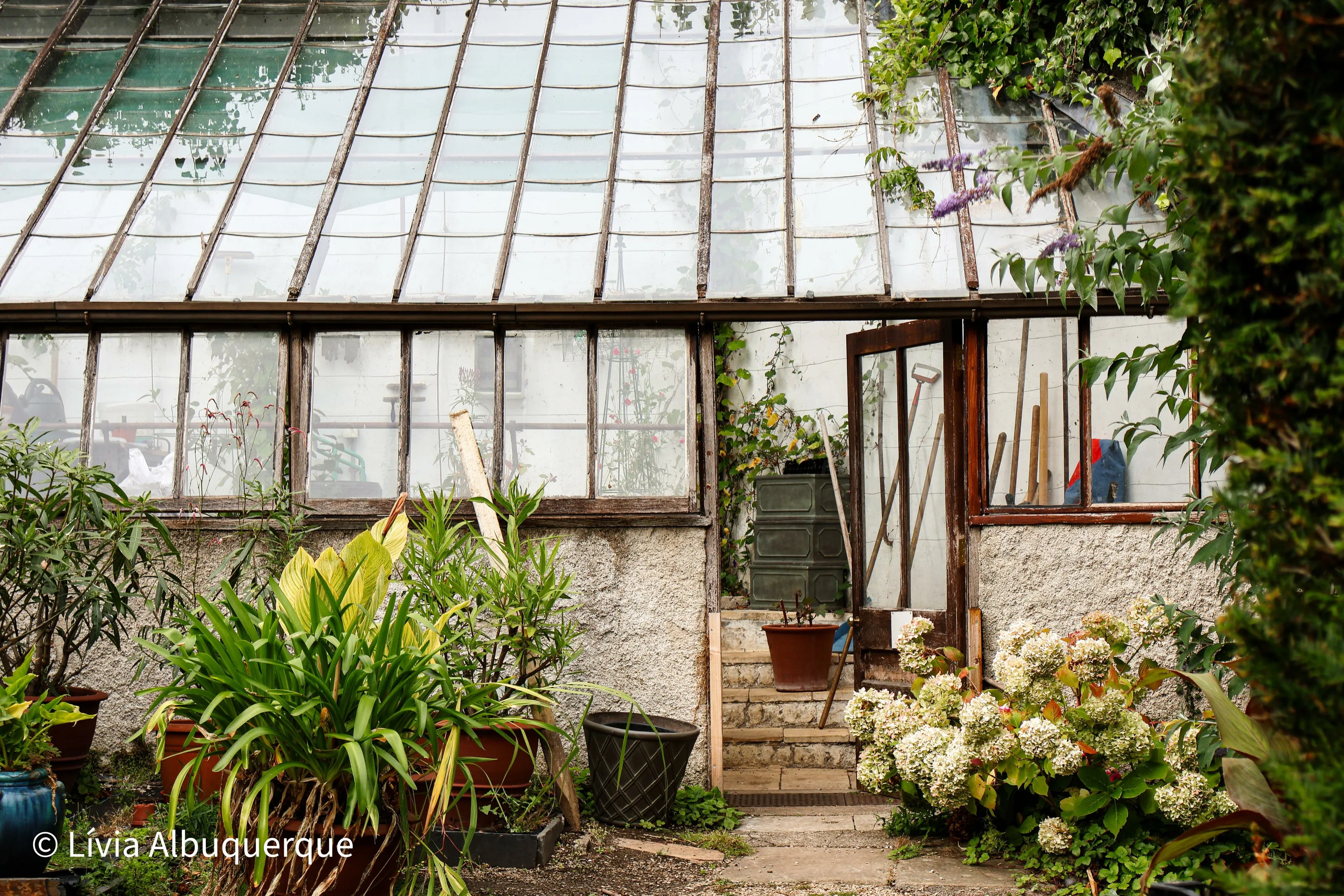 The Garden House