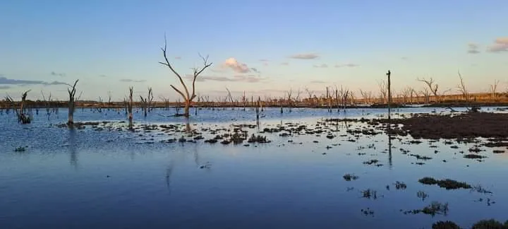 Crisp Country Salt Lake in the Wheatbelt