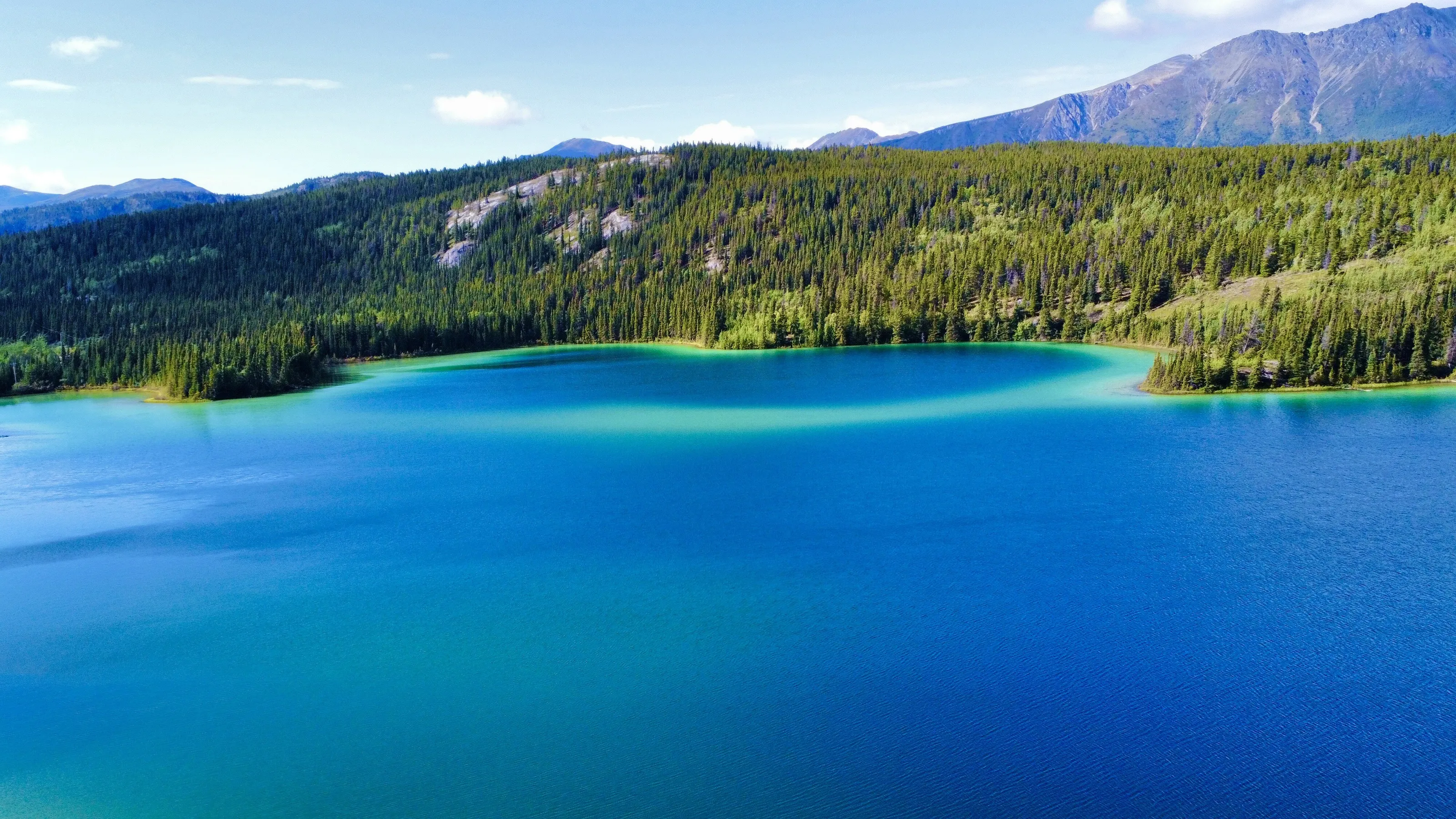 Lakeside dreamscape