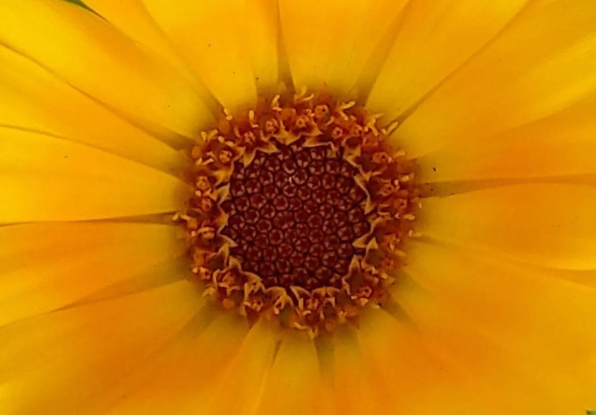 Nature at its best