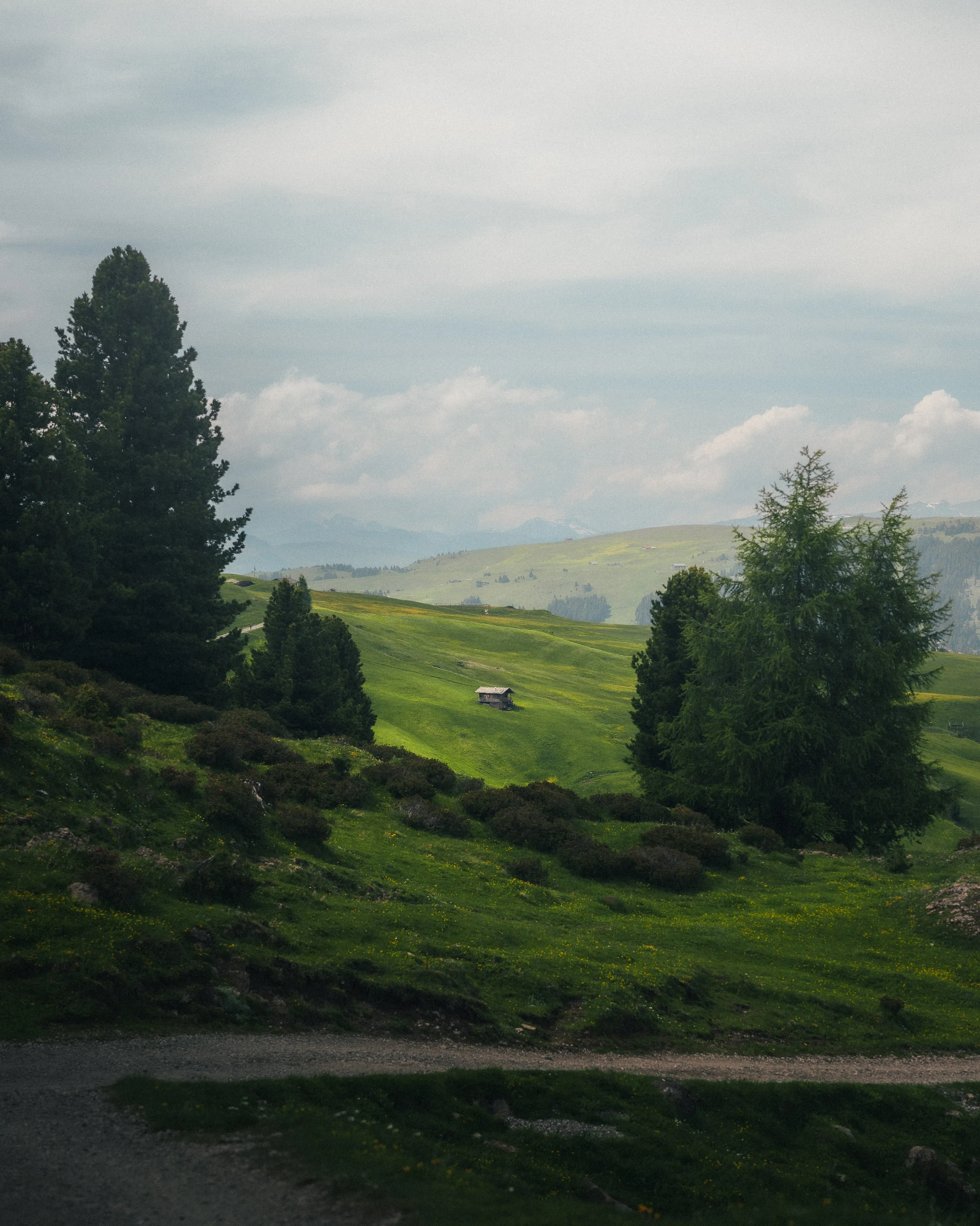 Lonely Shed on Alpe di Siusi