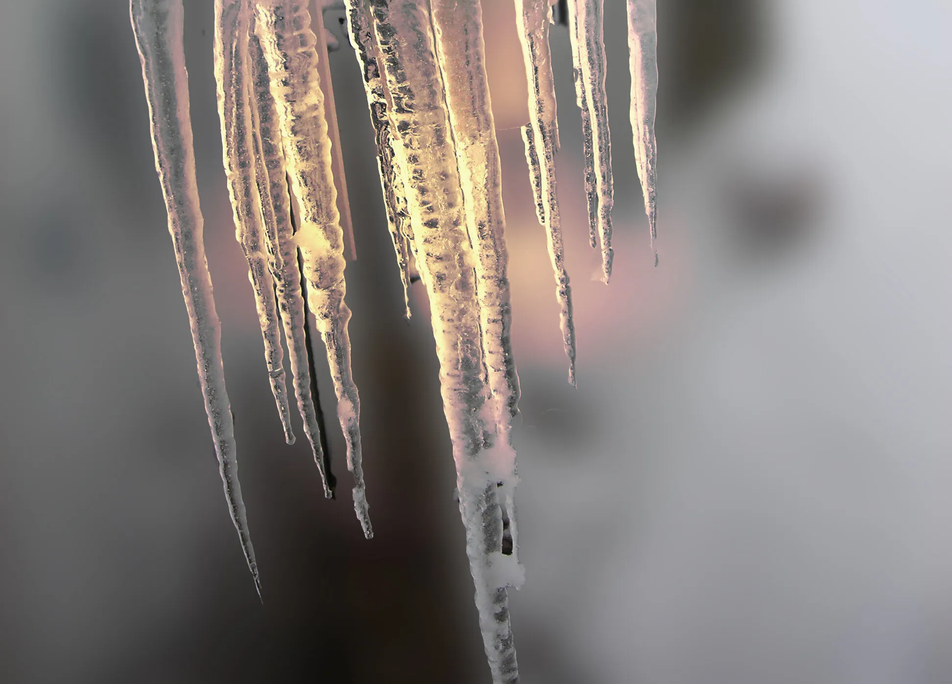 Frozen