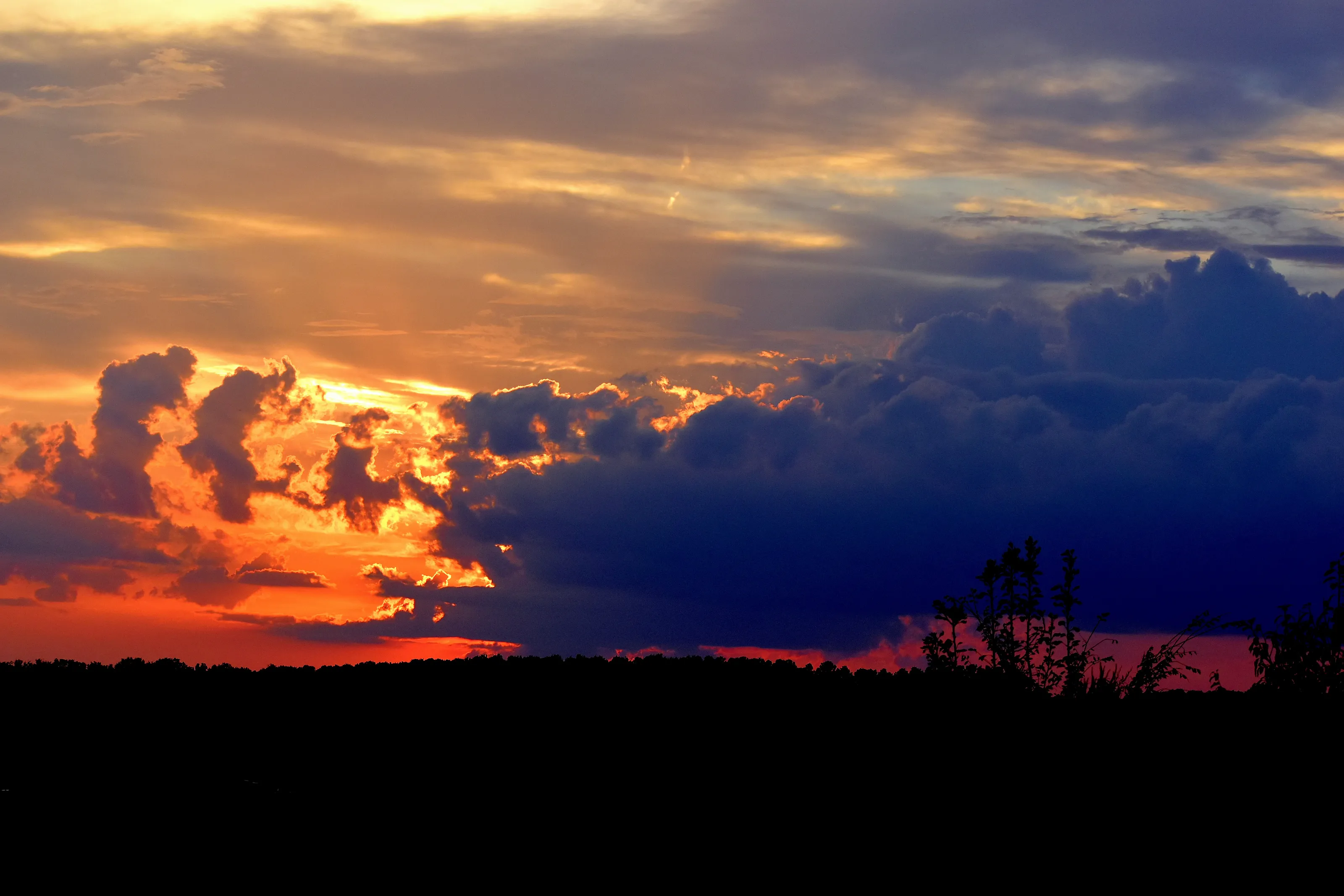 Dynamic Sunset
