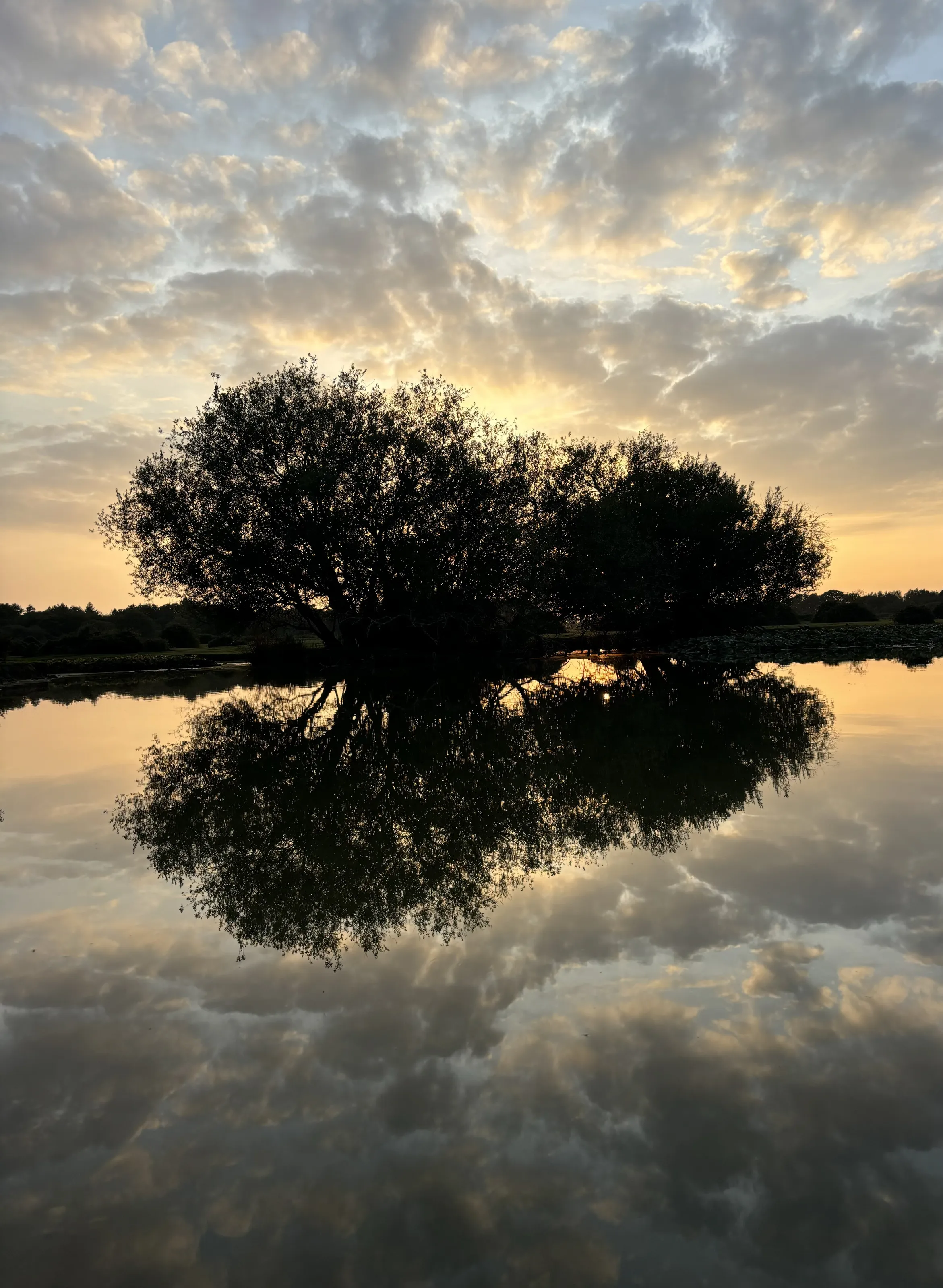Reflection