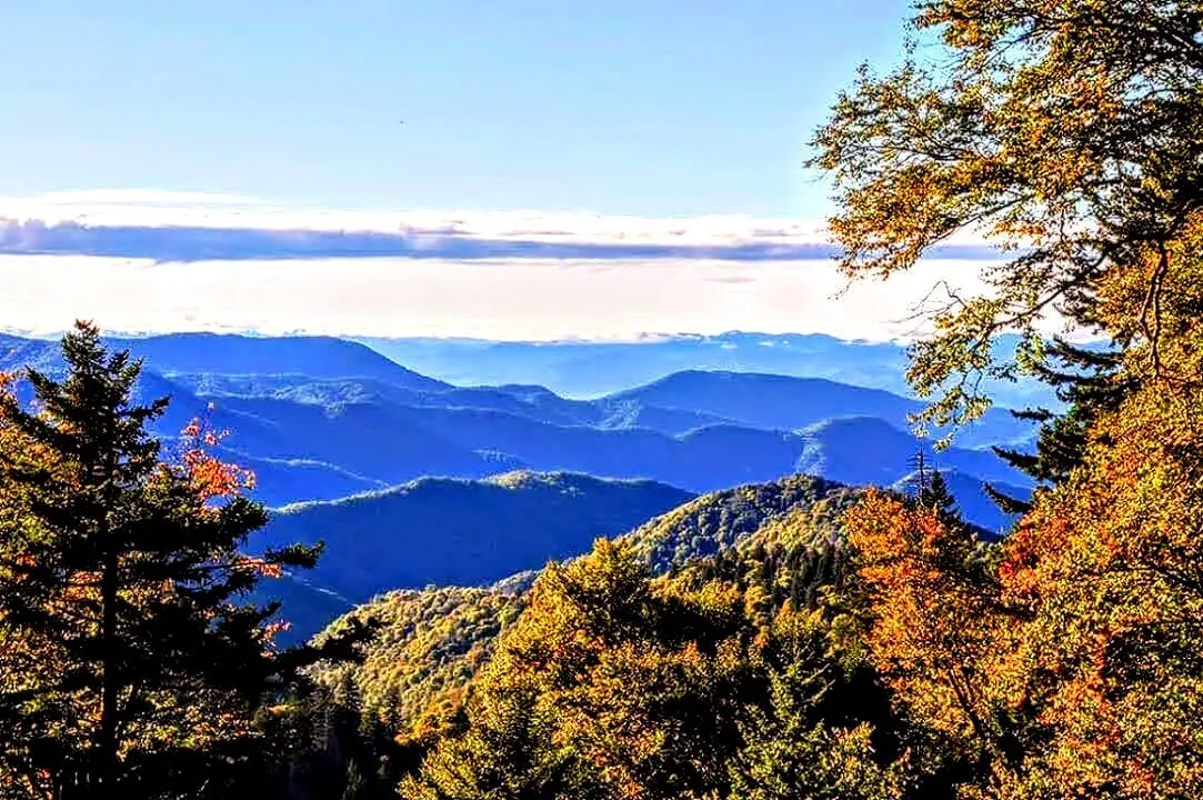 One of my favorite from NC,Can't get much more outdoorsy than that