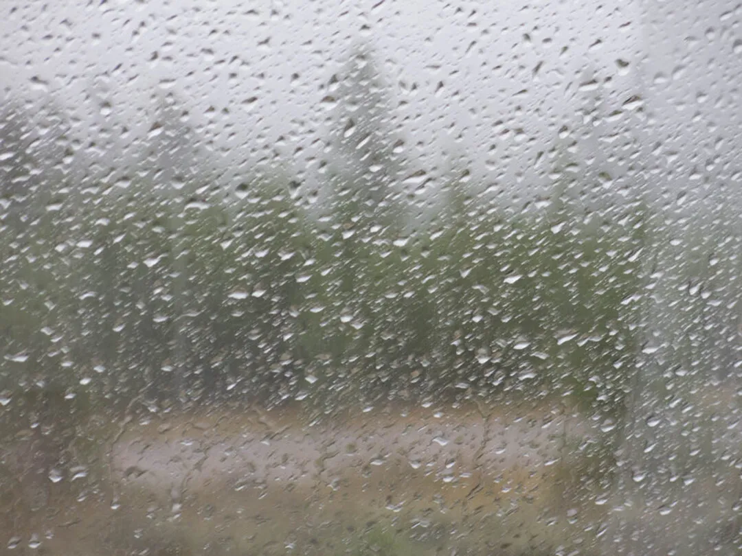 Rainy Day