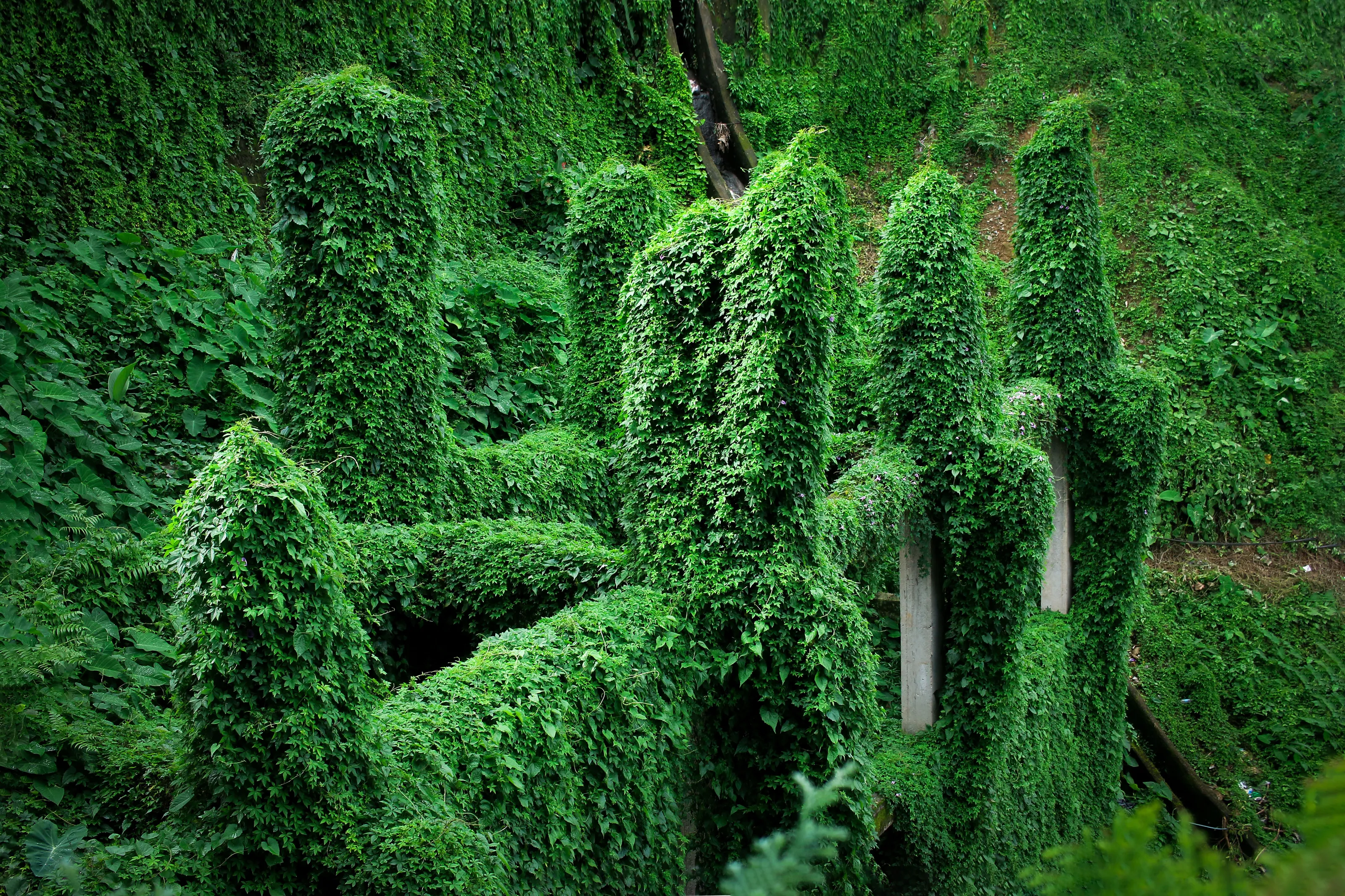 Reclaimed by nature