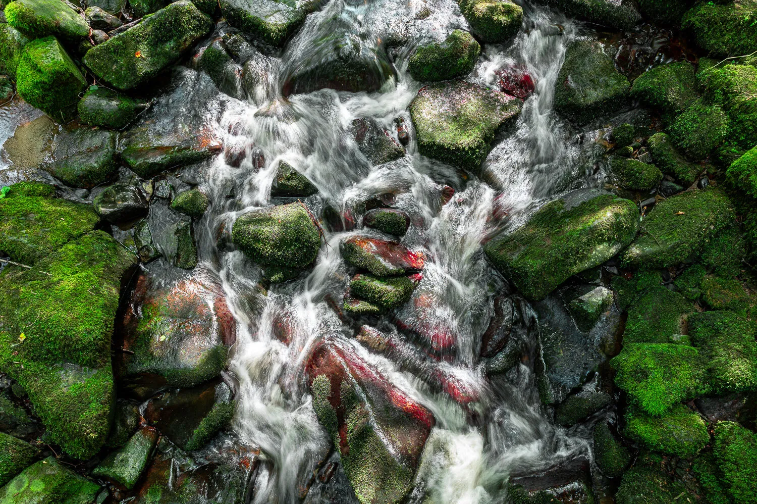 Waterflow (small river in Bavaria)