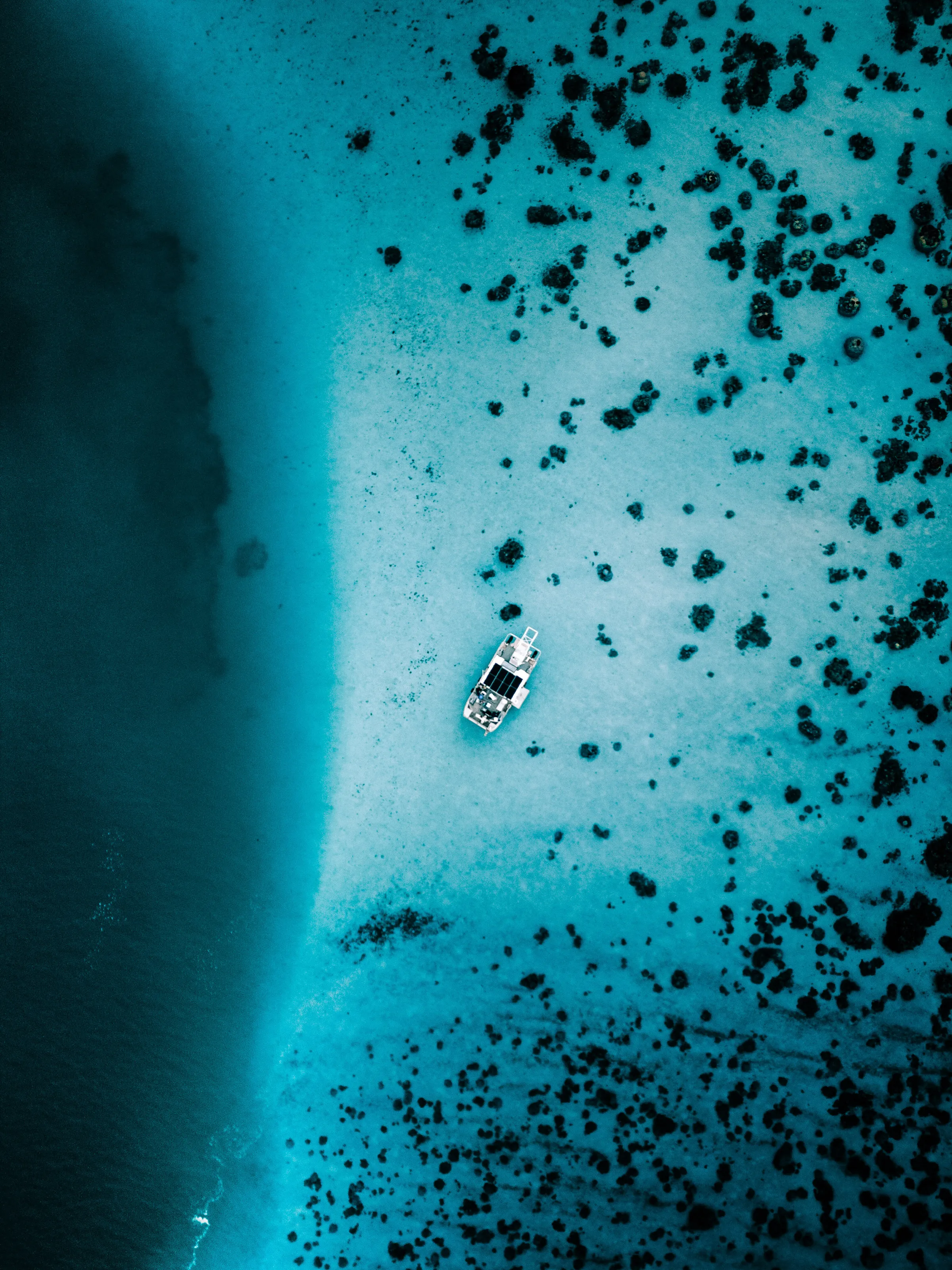 Isolated on the lagoon