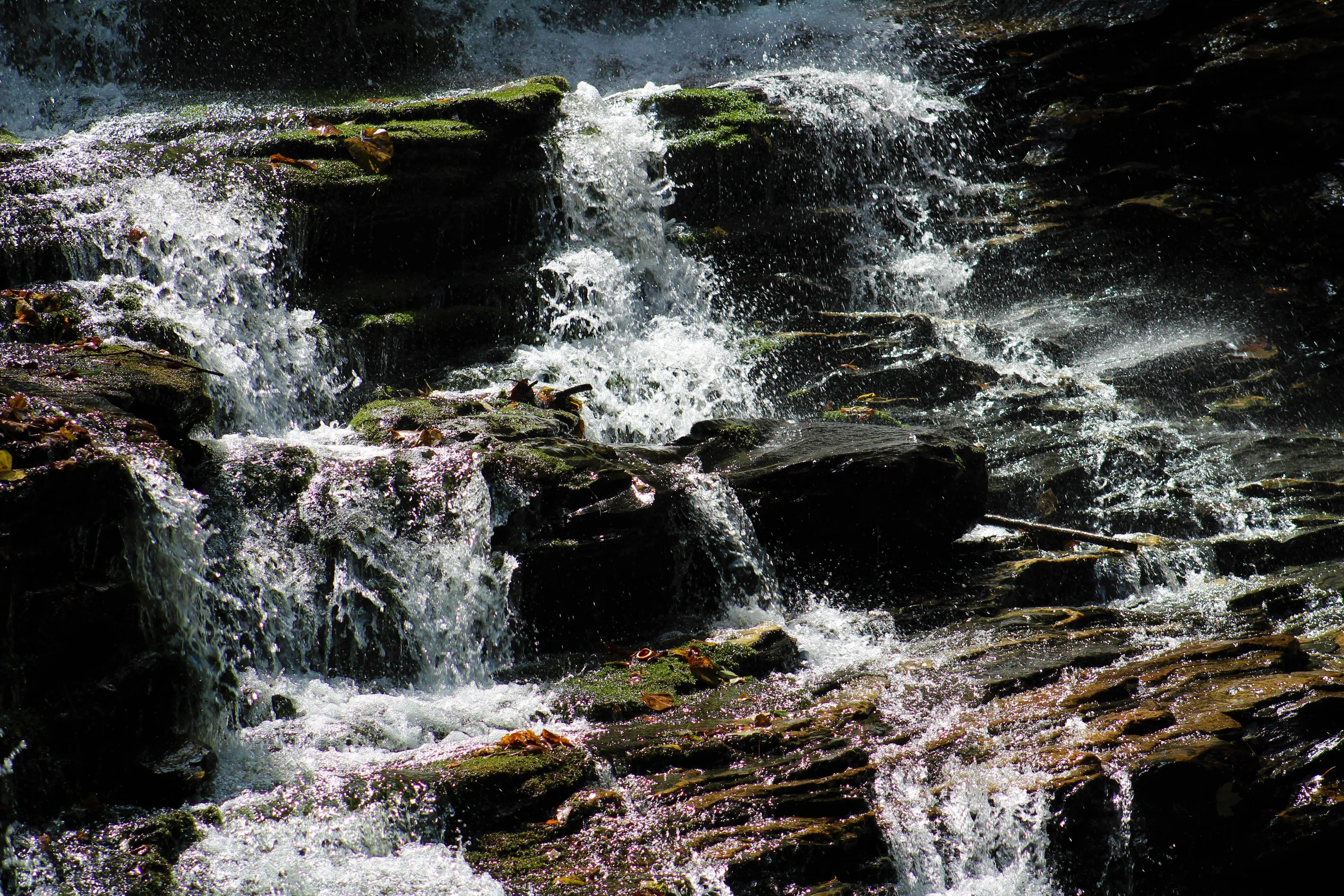 Pearson's Falls