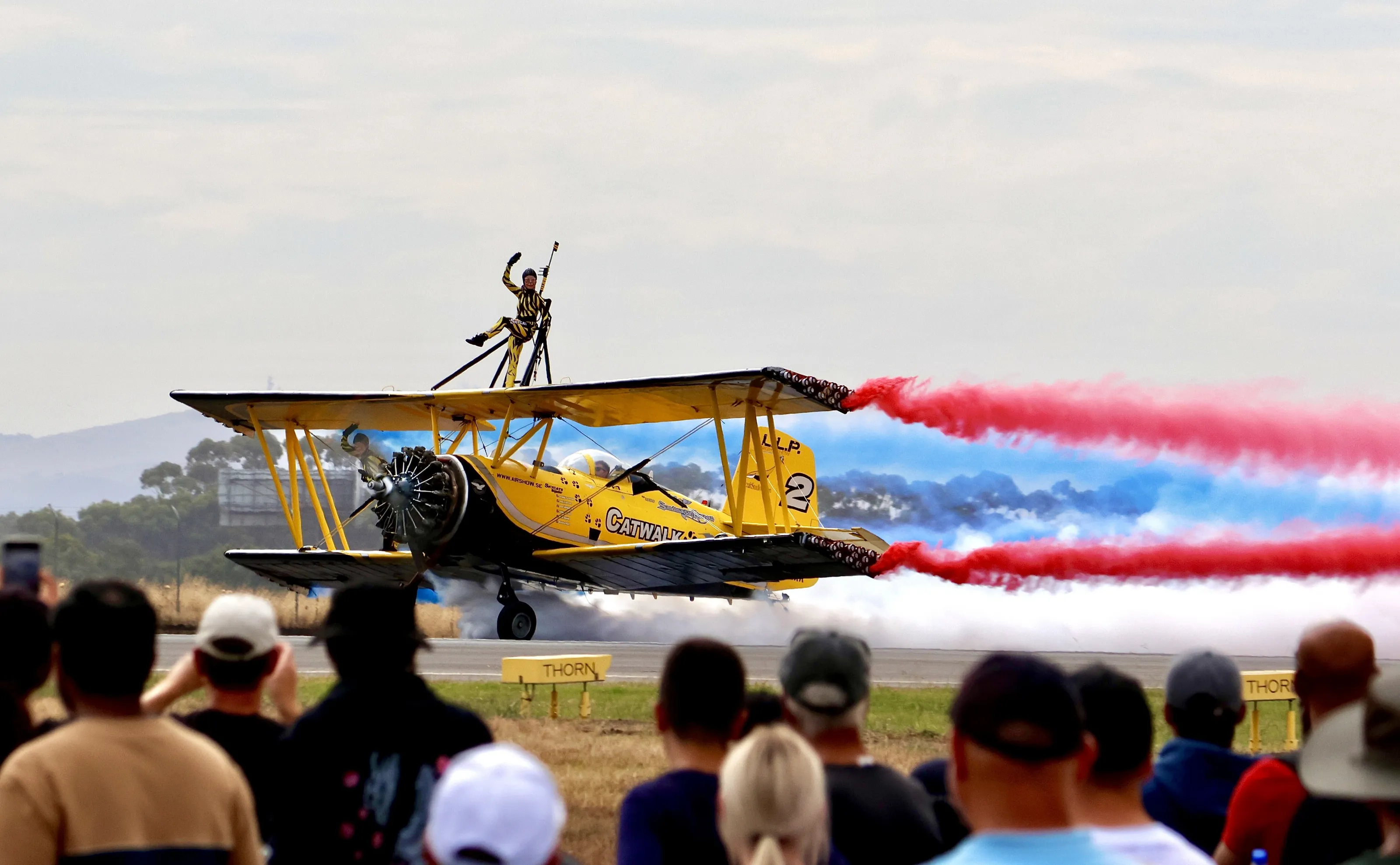 Skycats Wingwalker